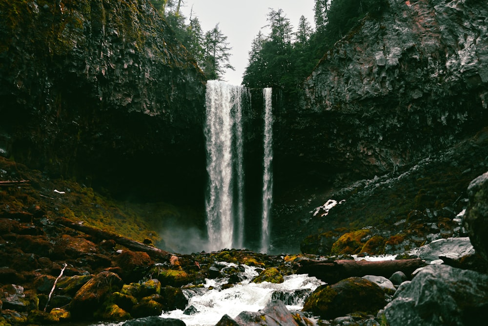 a waterfall in a forest