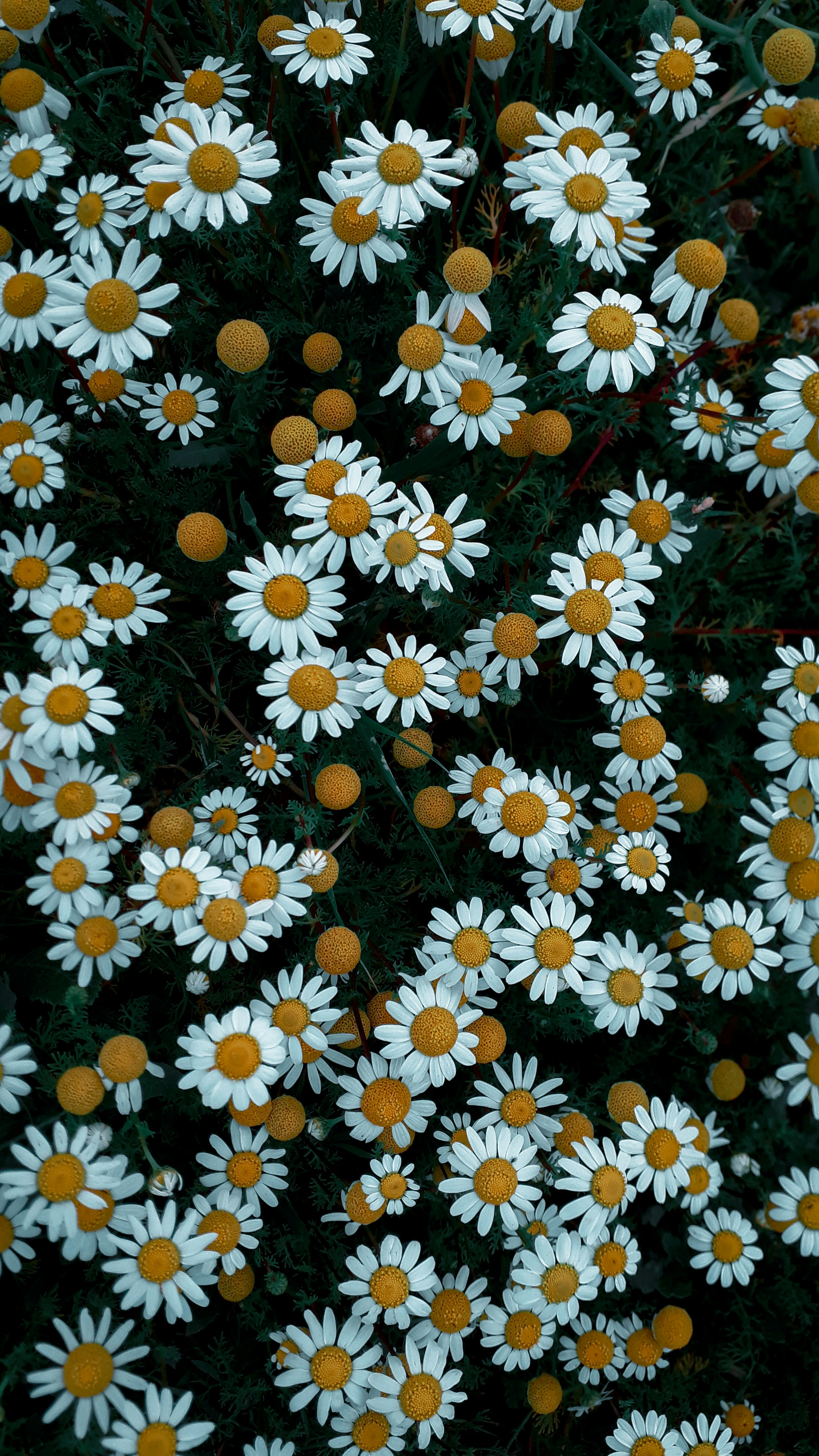 Photo by ikrams_lens