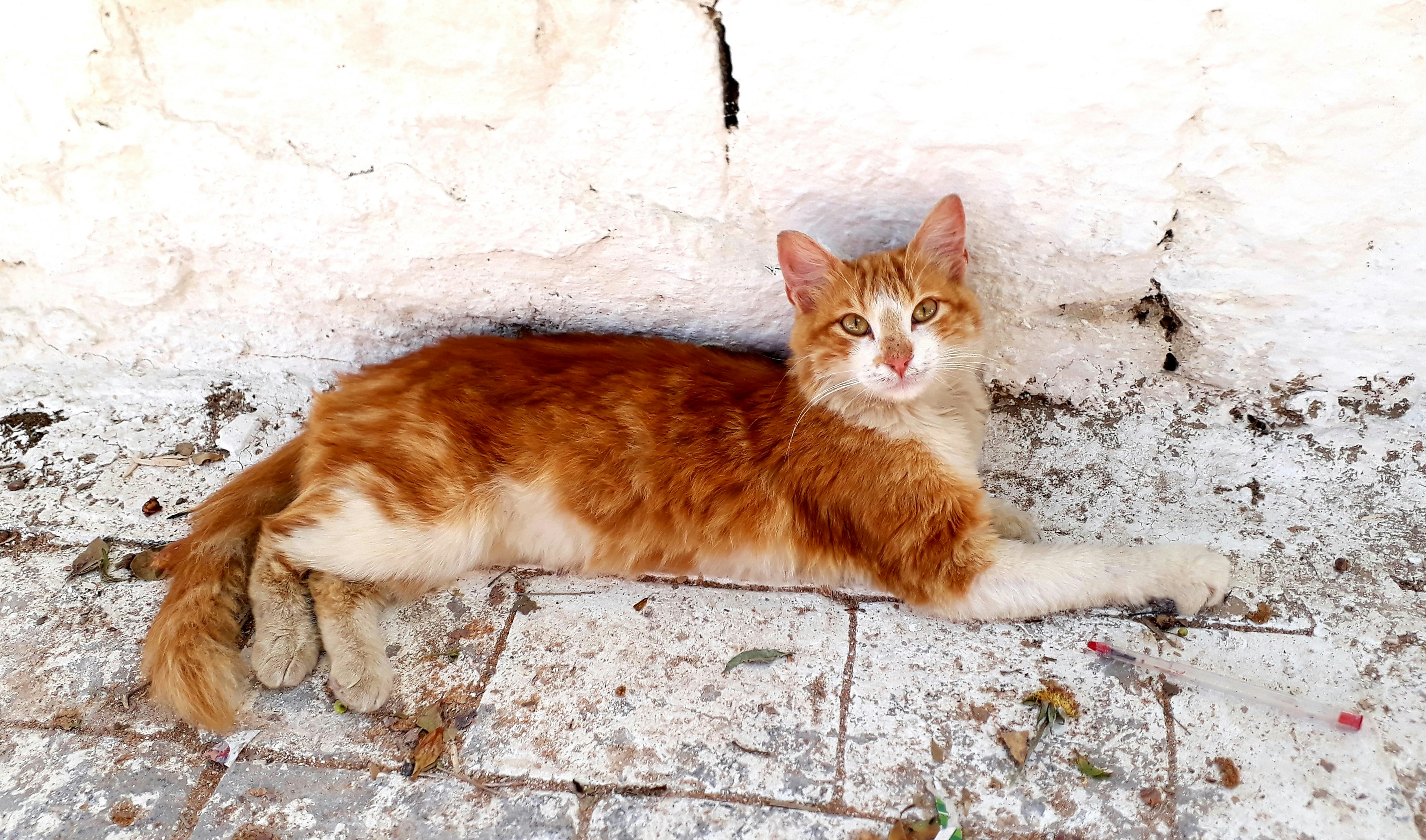 Photo by ikrams_lens