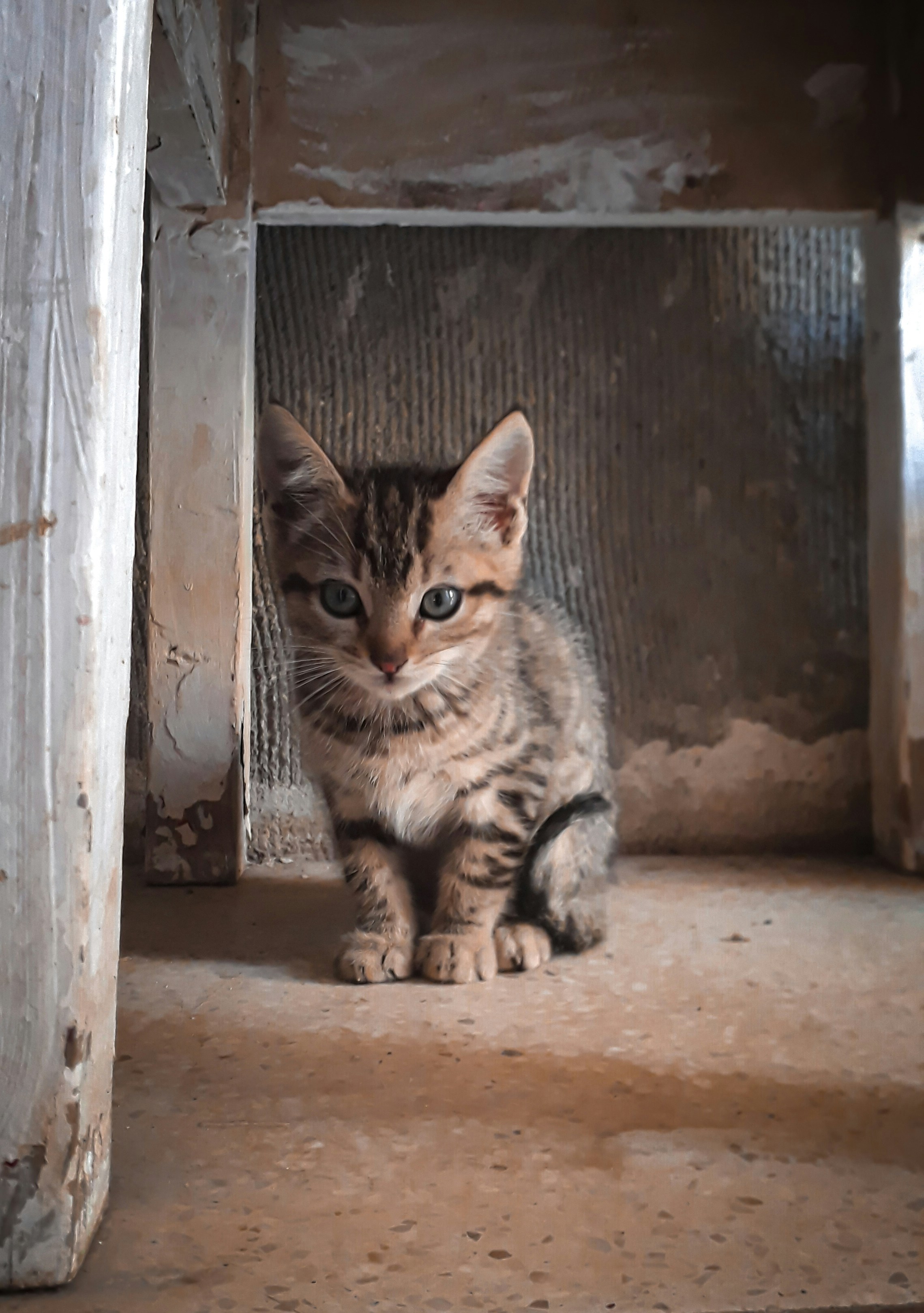 Photo by ikrams_lens