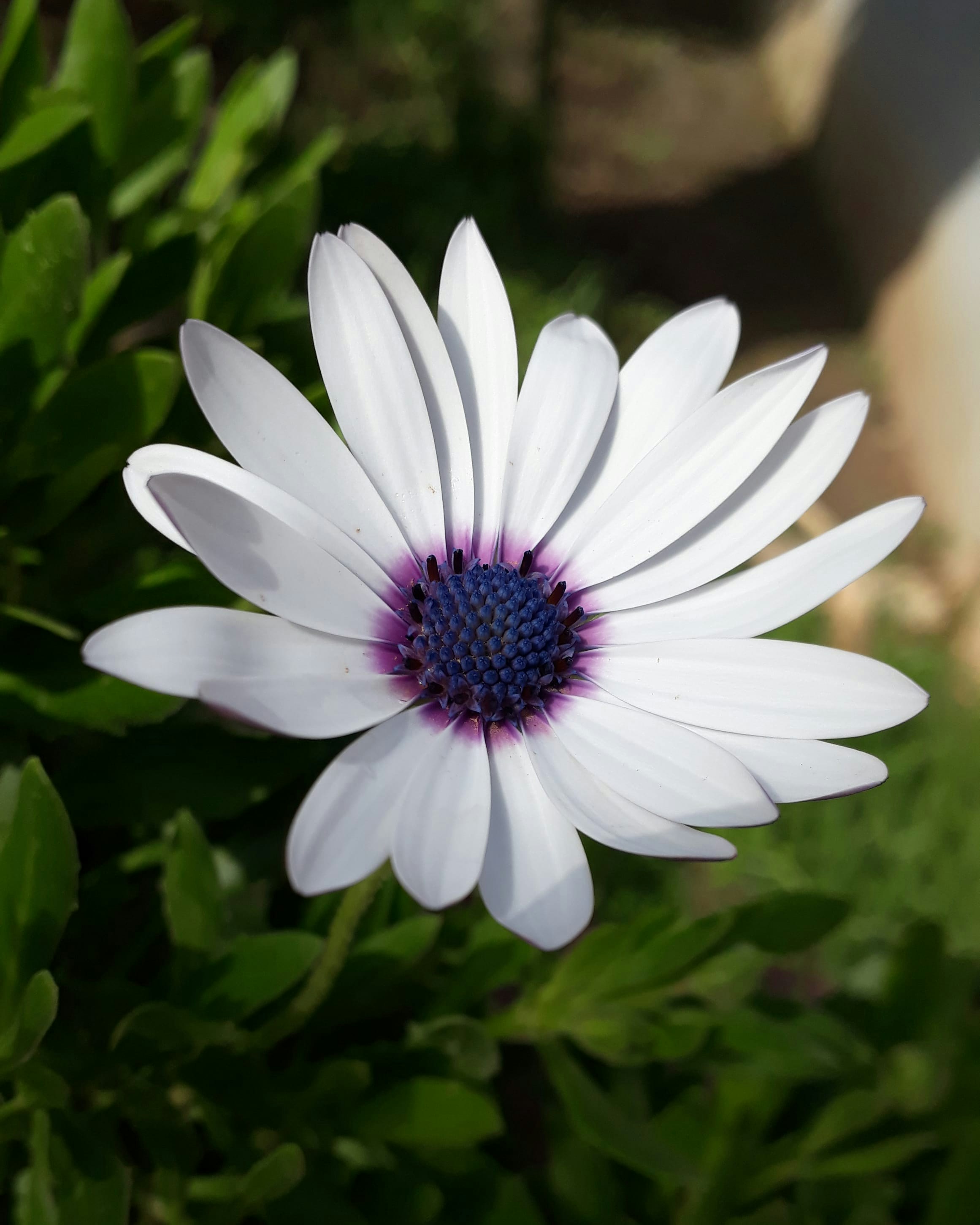 Photo by ikrams_lens