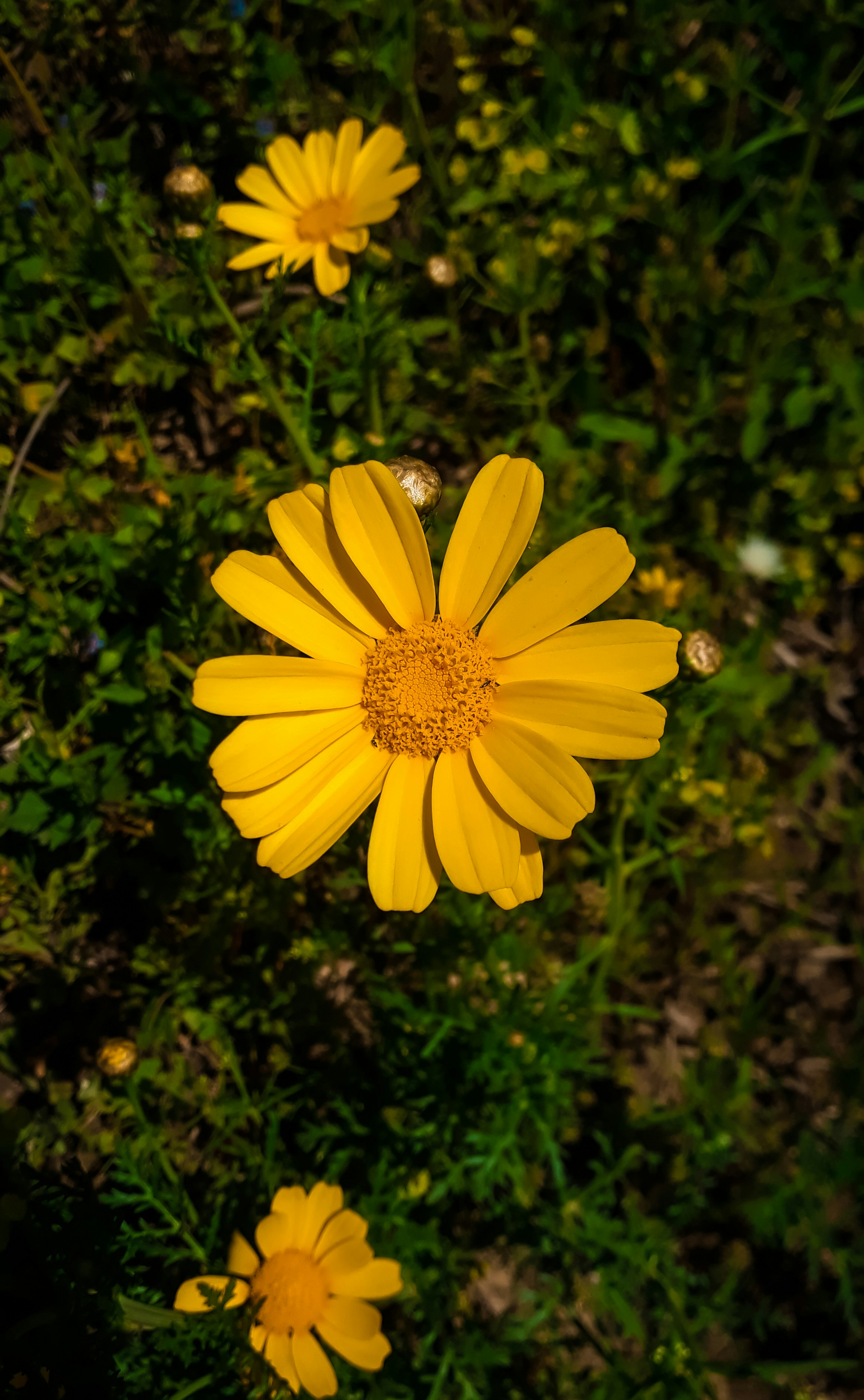 Photo by ikrams_lens