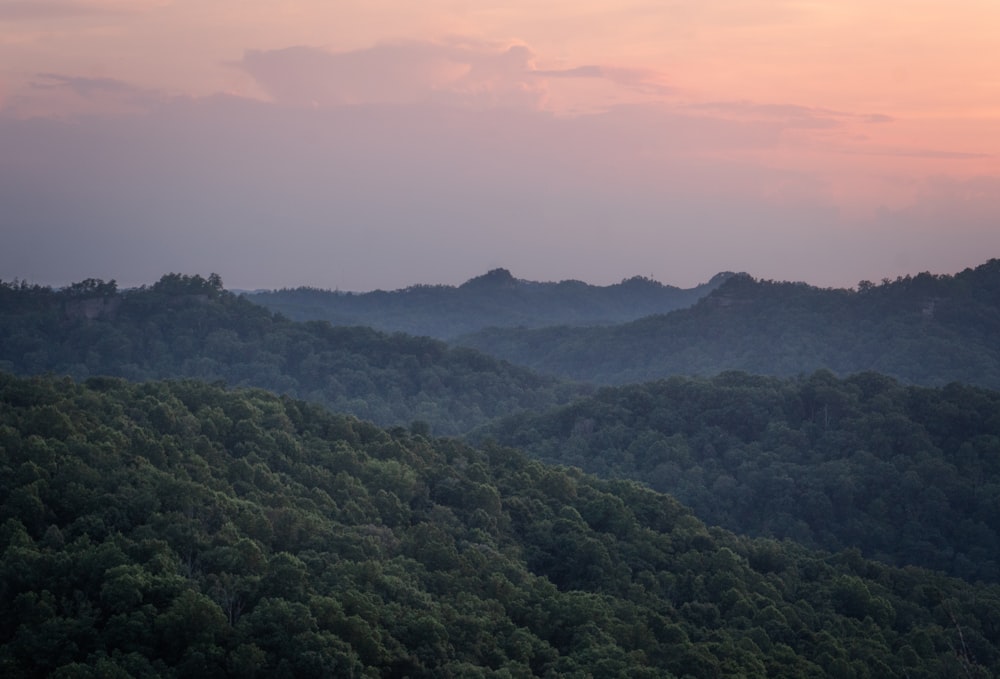 un paesaggio con alberi e colline