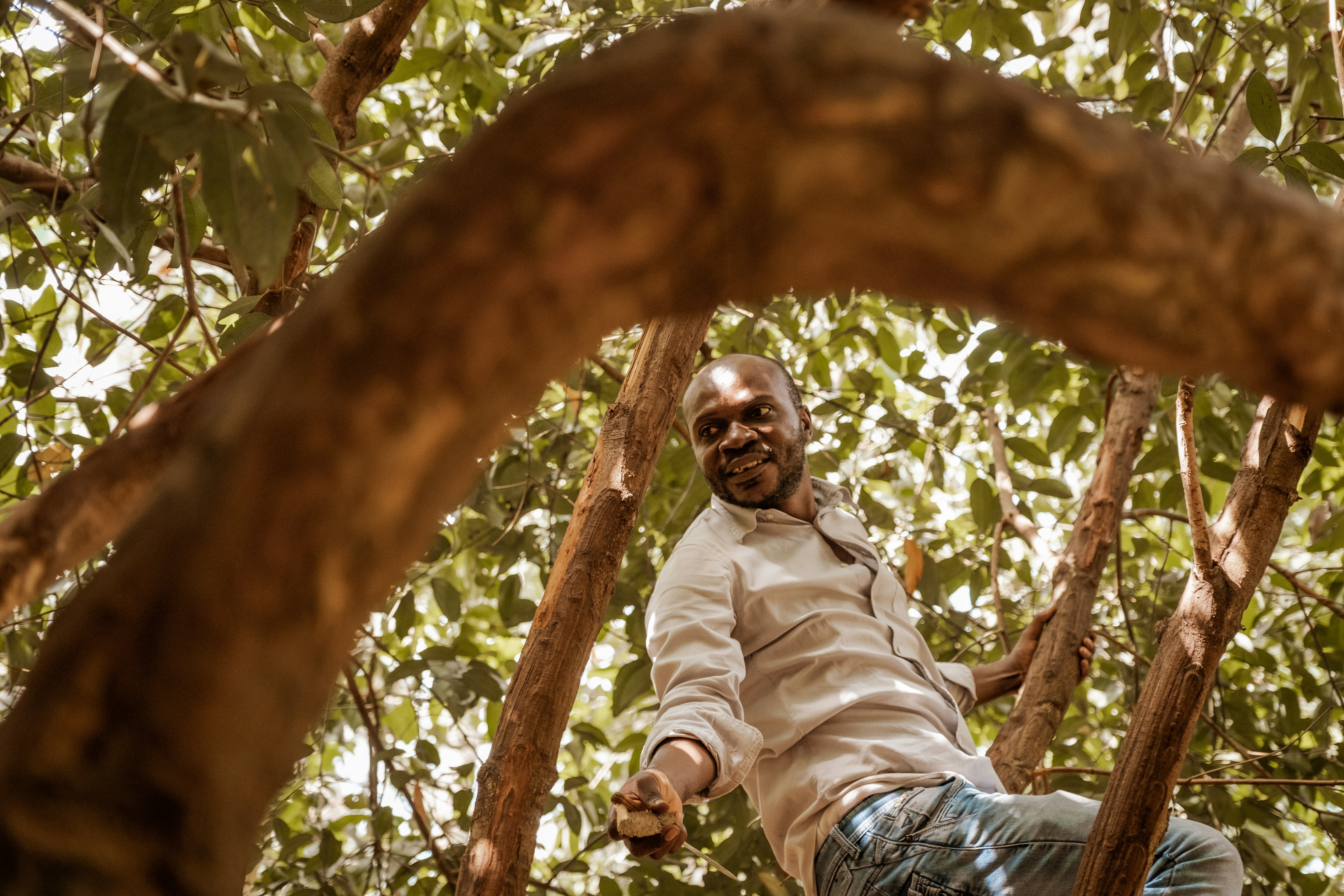 Five African Founders Stage Major Comebacks in 2025 After Prior Business Collapse