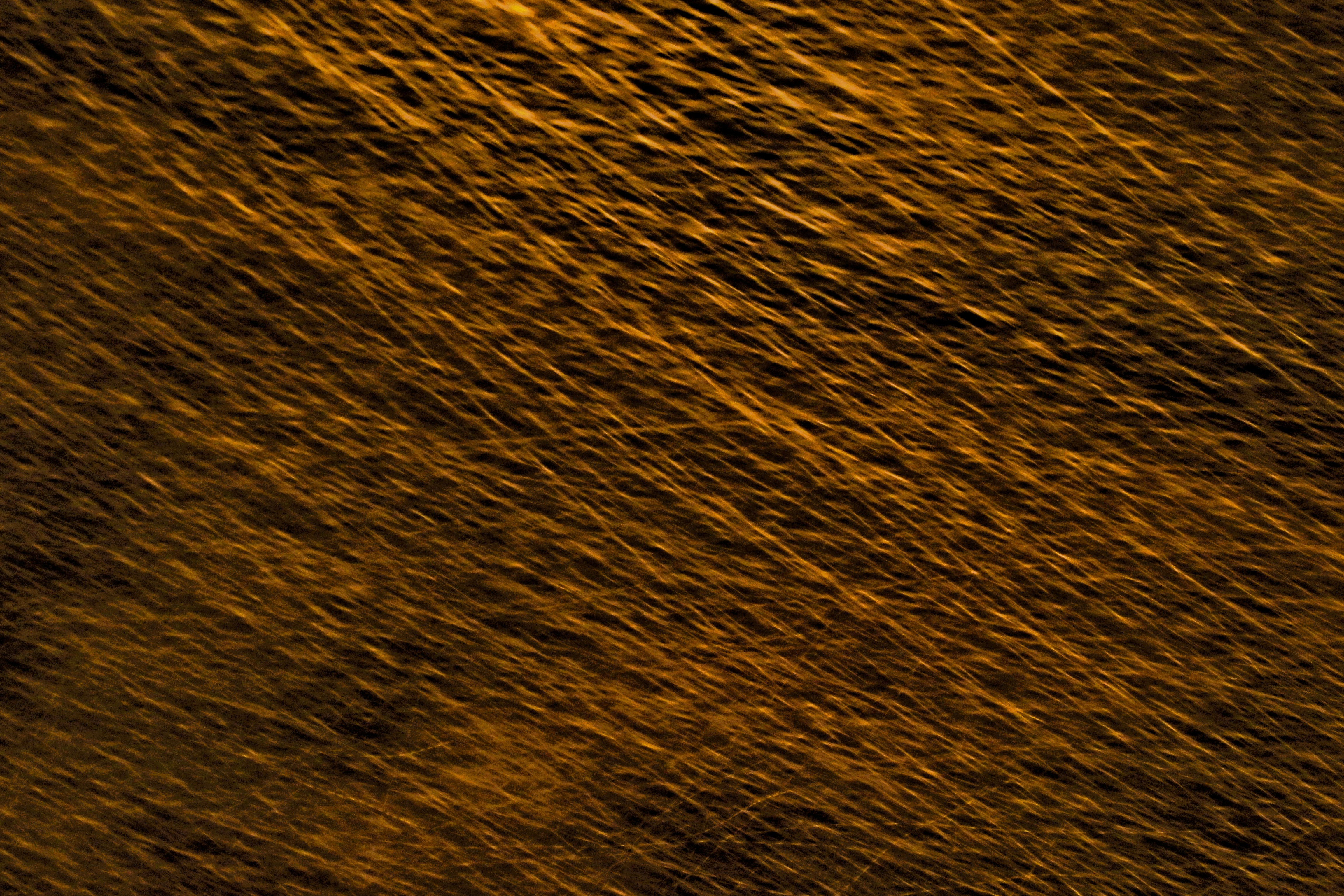 Photo by thomaskinto