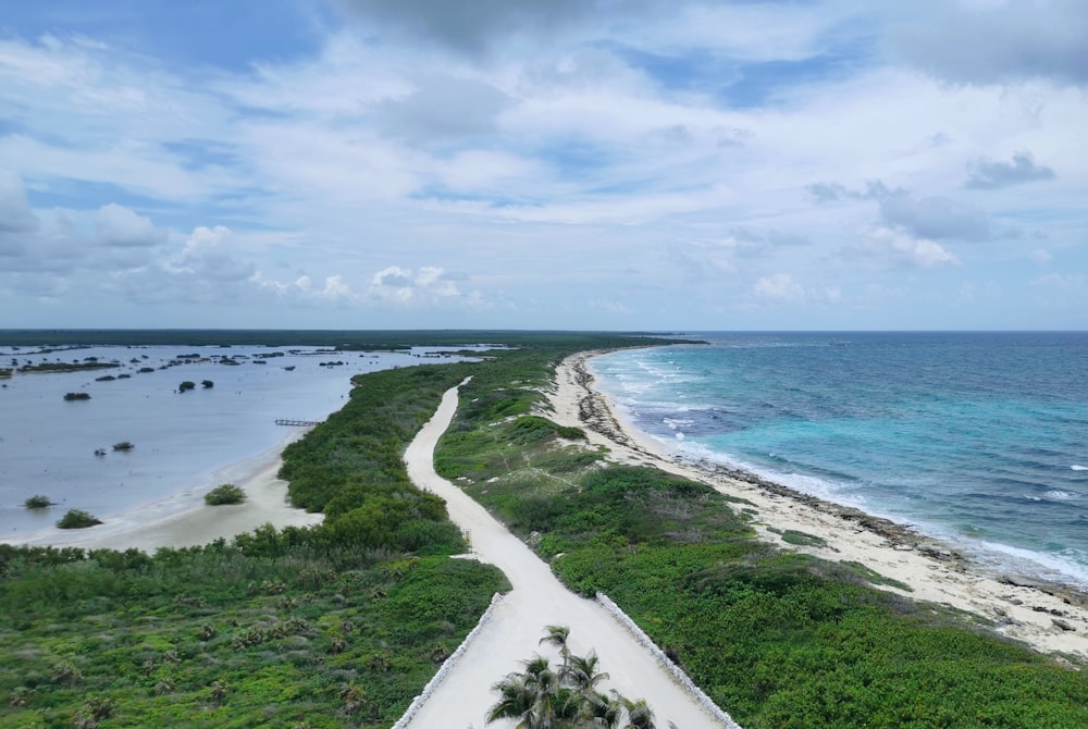 un chemin menant à une plage