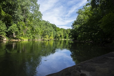 A serene river winding through a lush forest with birds flying overhead.