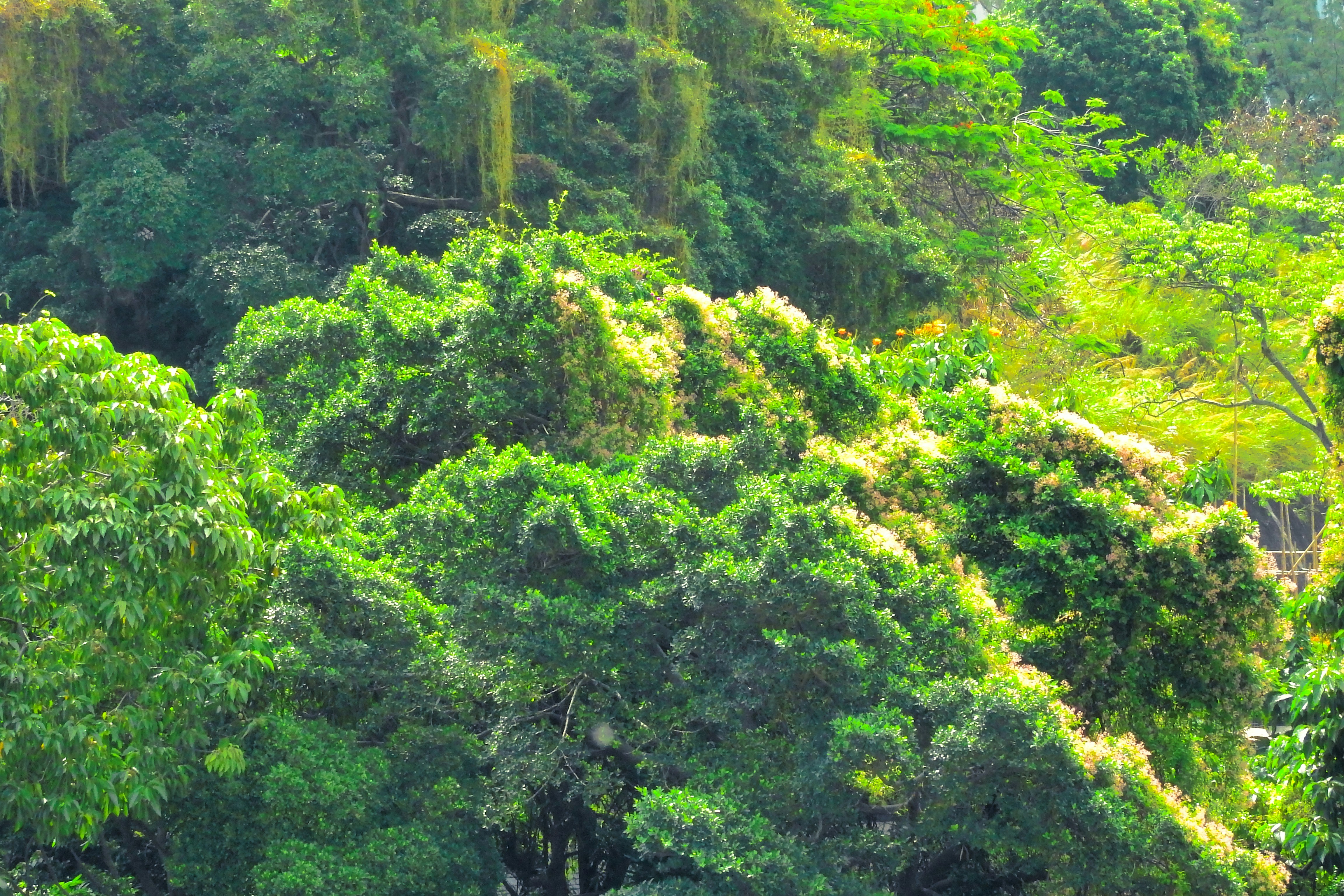 Photo by thomaskinto