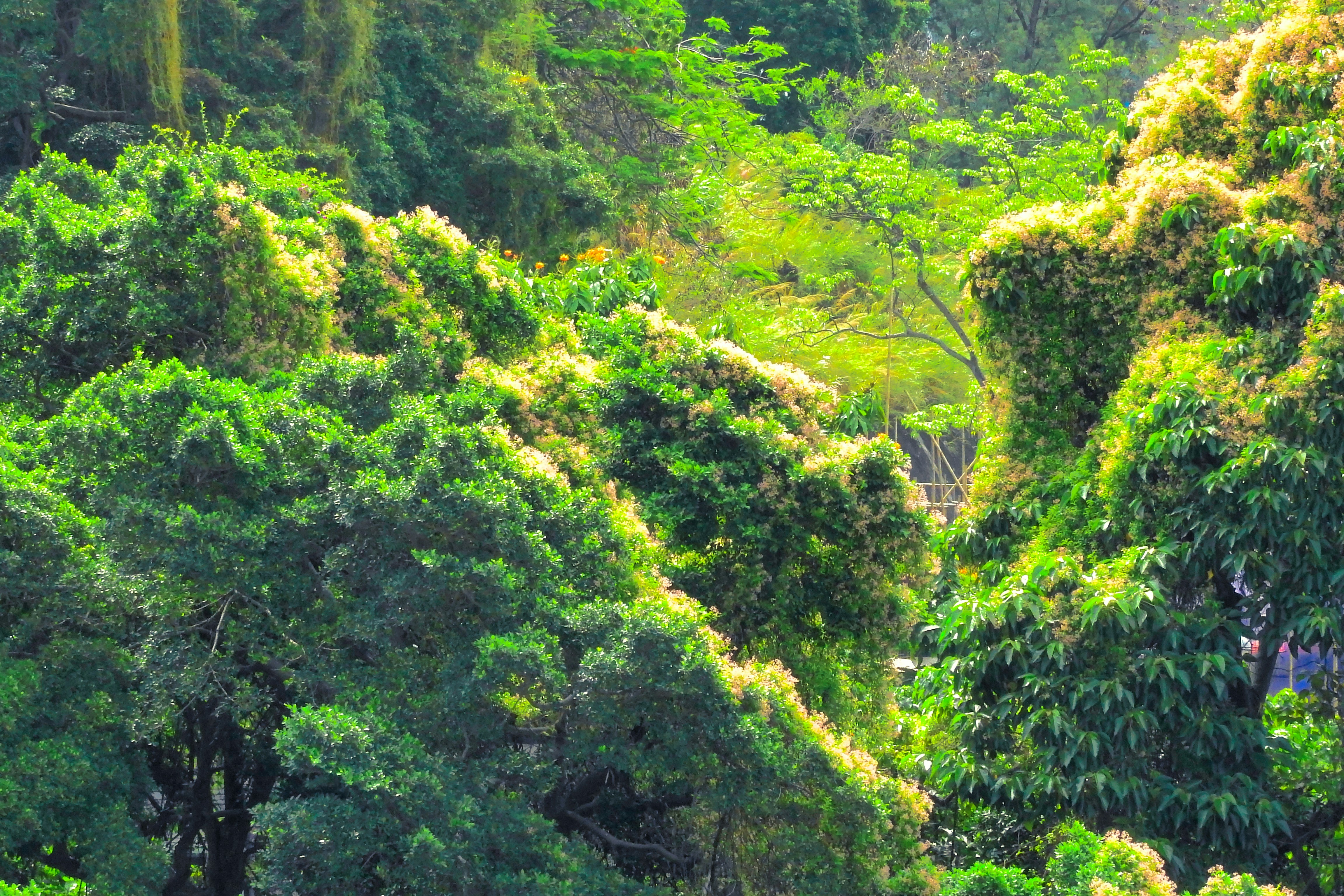 Photo by thomaskinto