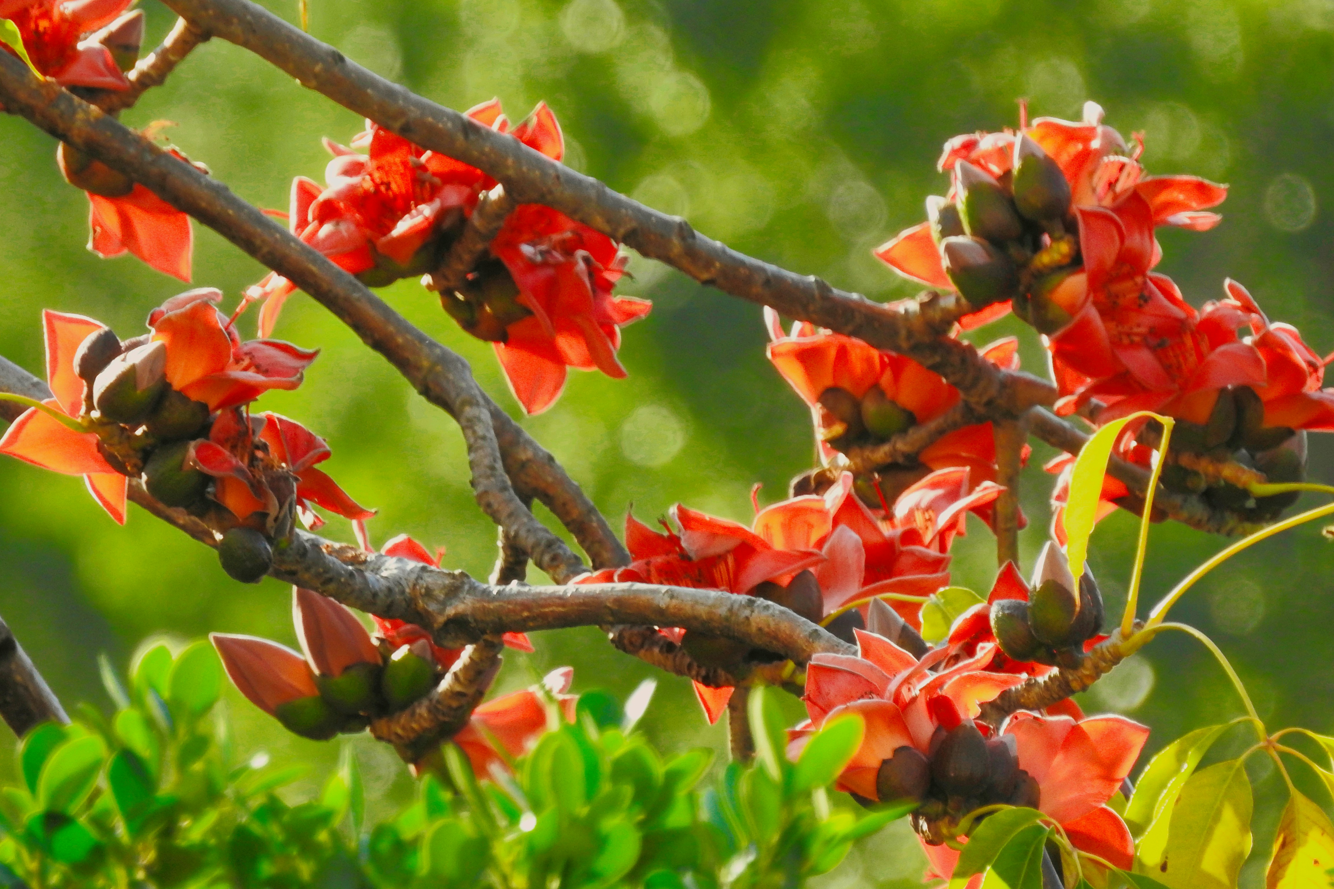 Photo by thomaskinto