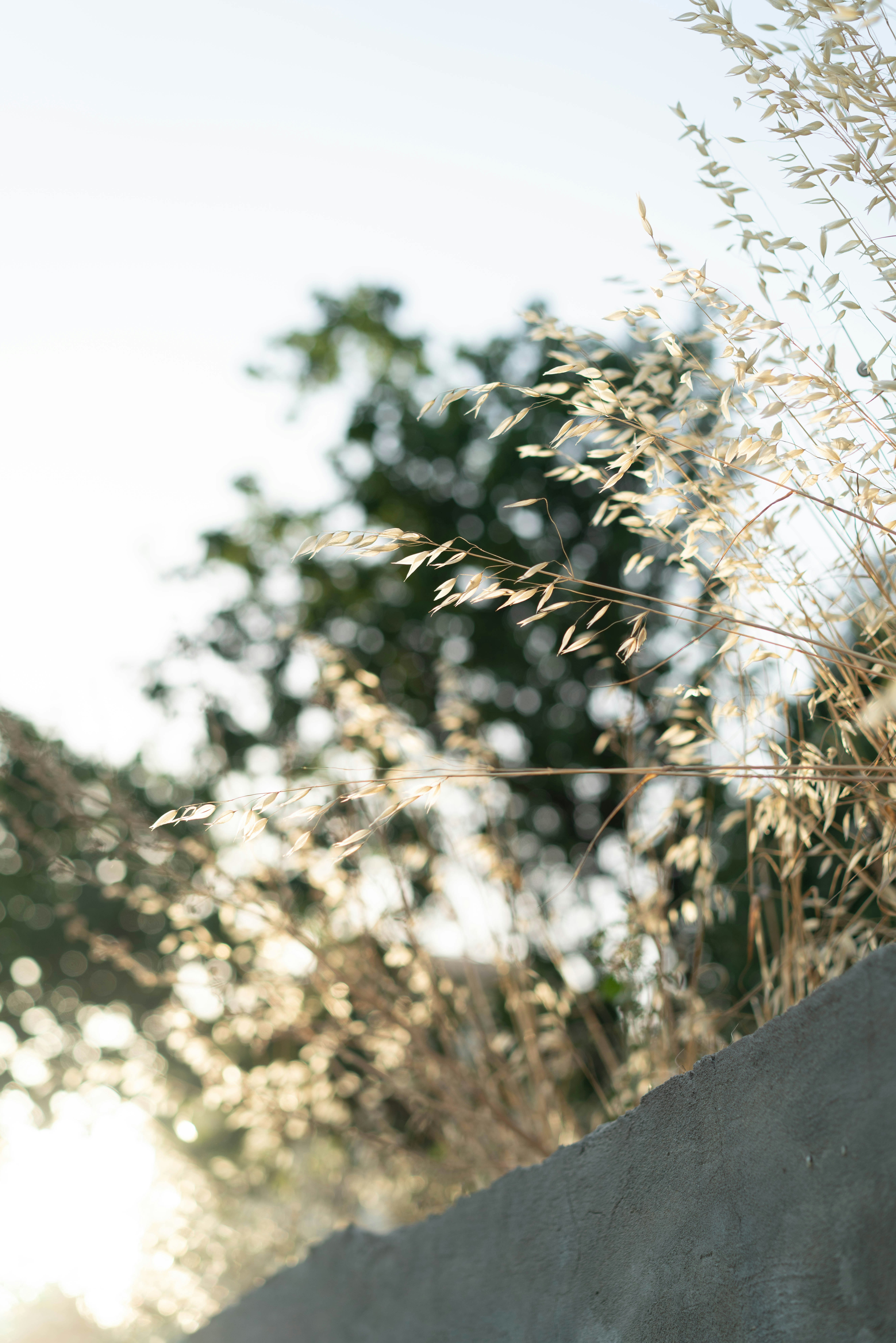 Photo by fairycarousel