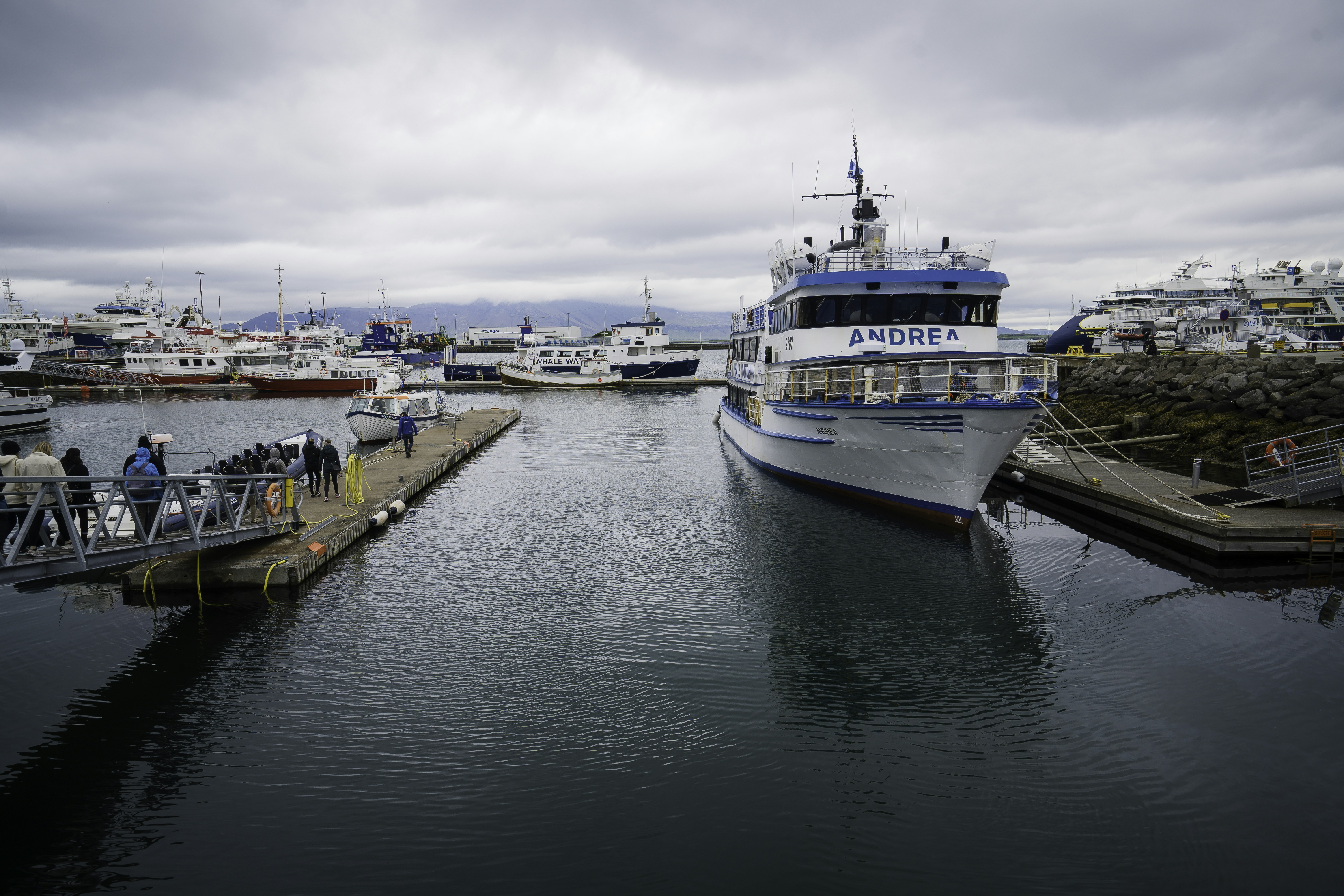 Photo by frugalflyer