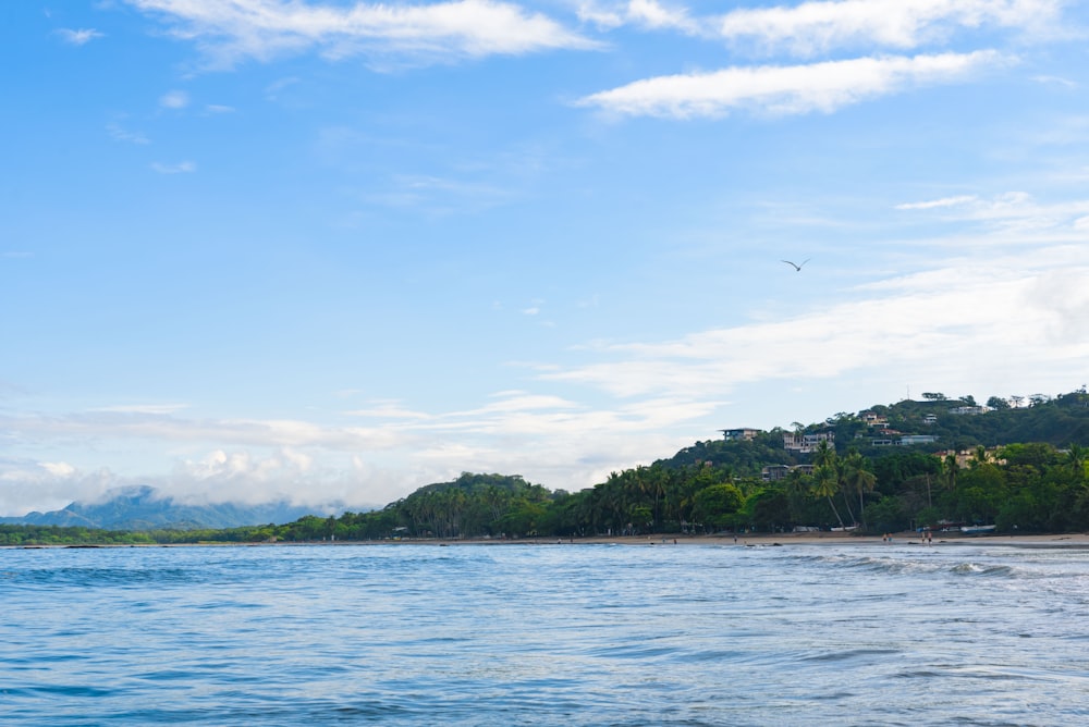 a body of water with trees and a bird flying in the sky