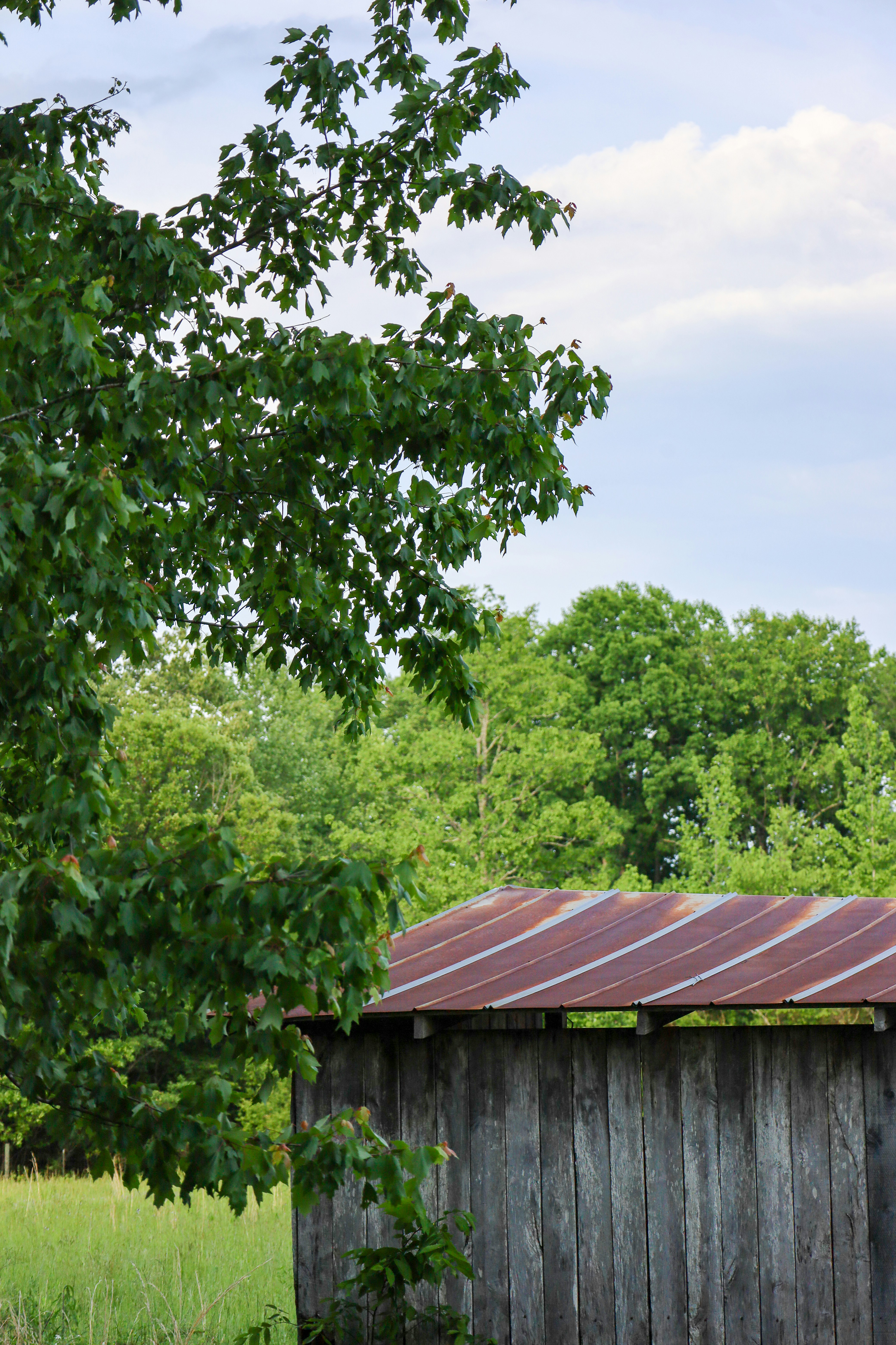 Photo by rosemarymedia