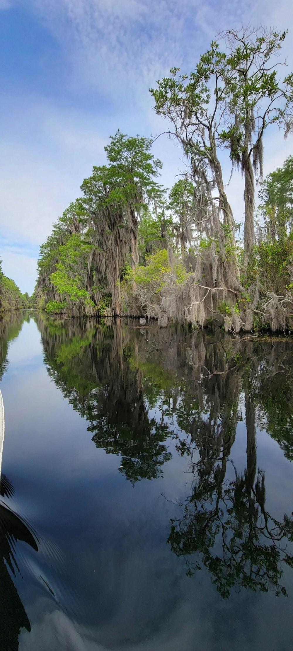 a body of water with trees and a rock cliff in the background