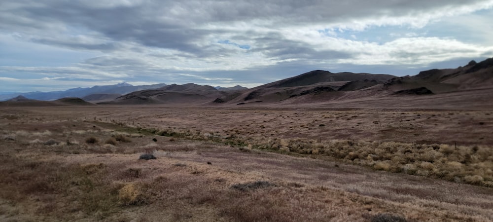 Un paysage désertique avec des collines en arrière-plan