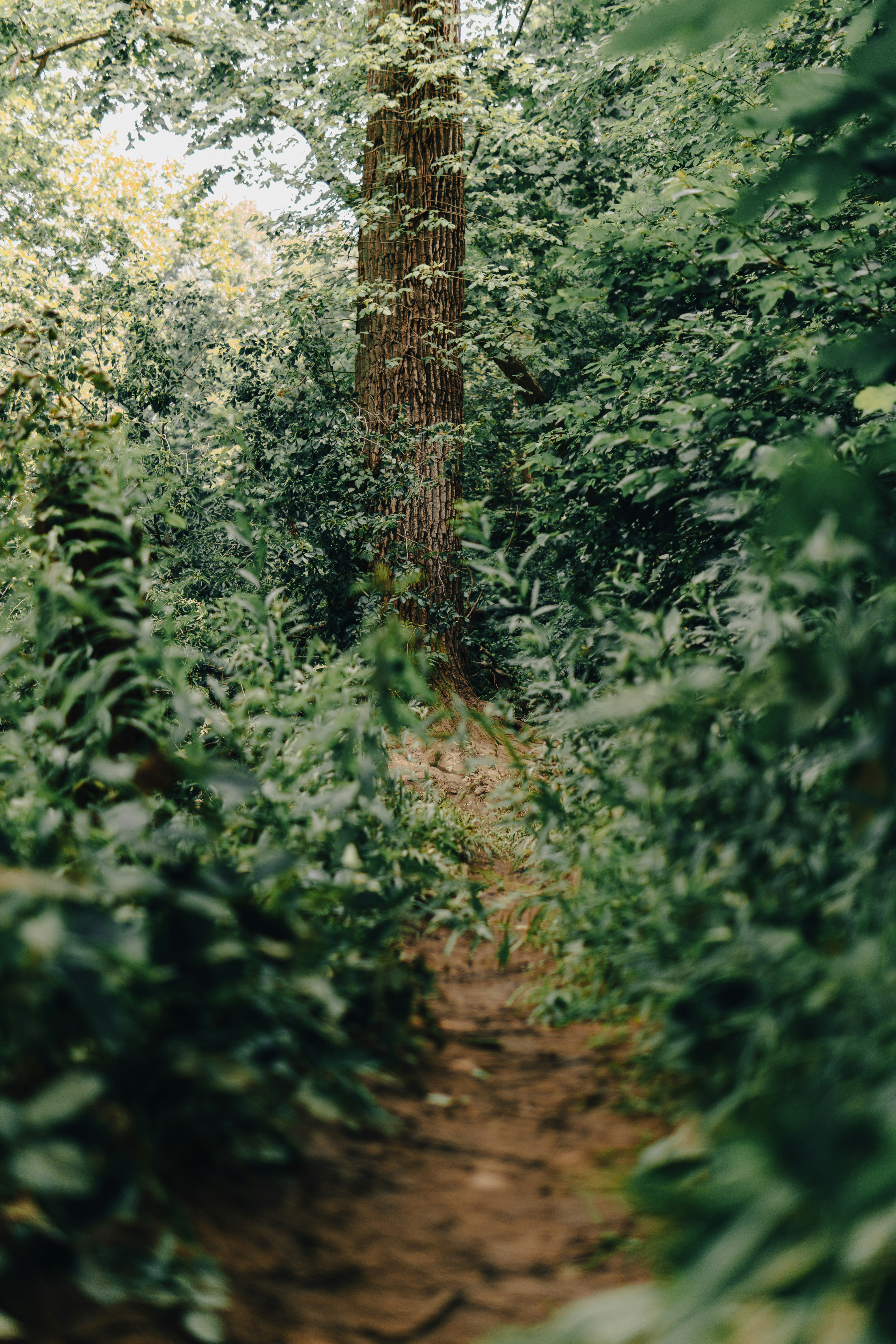 Photo by mrgreatheart