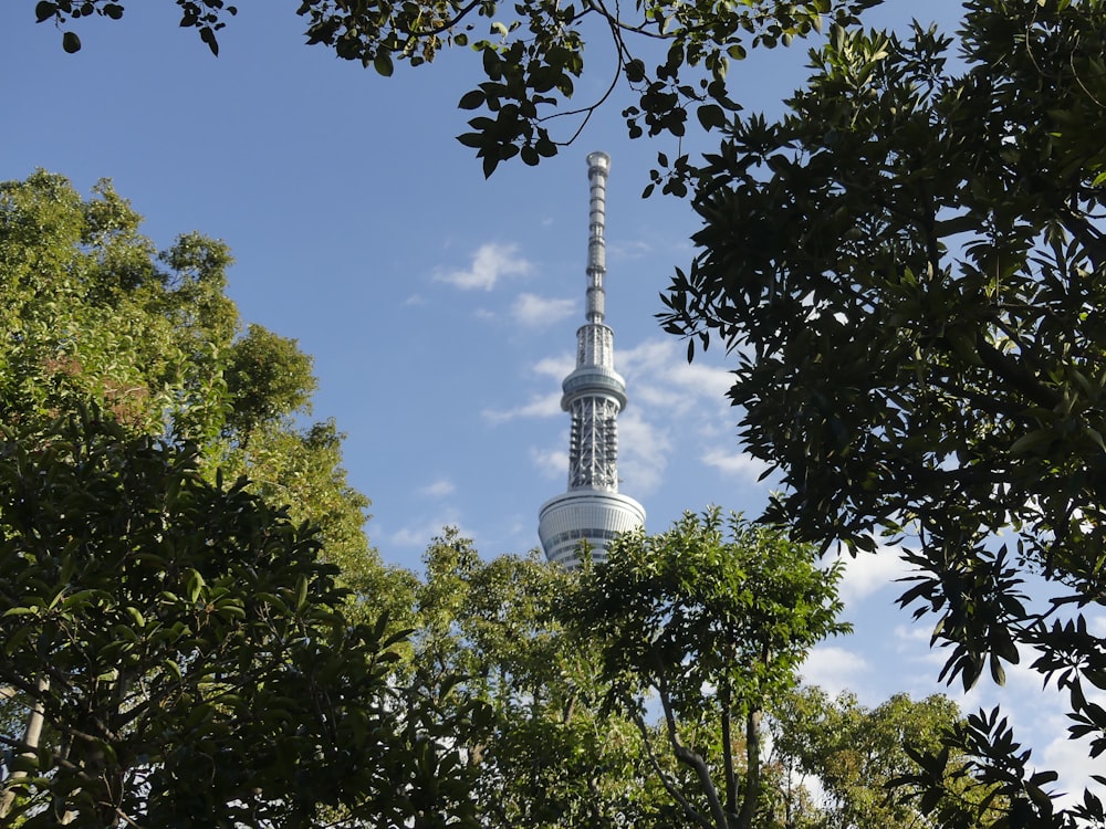 a tall pointy tower behind trees