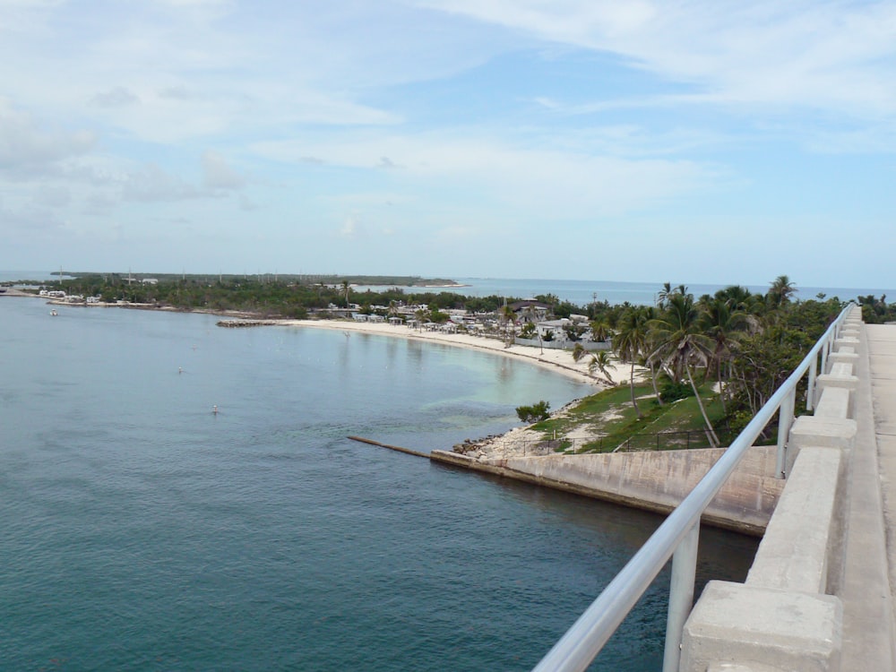 a body of water with a beach and trees around it