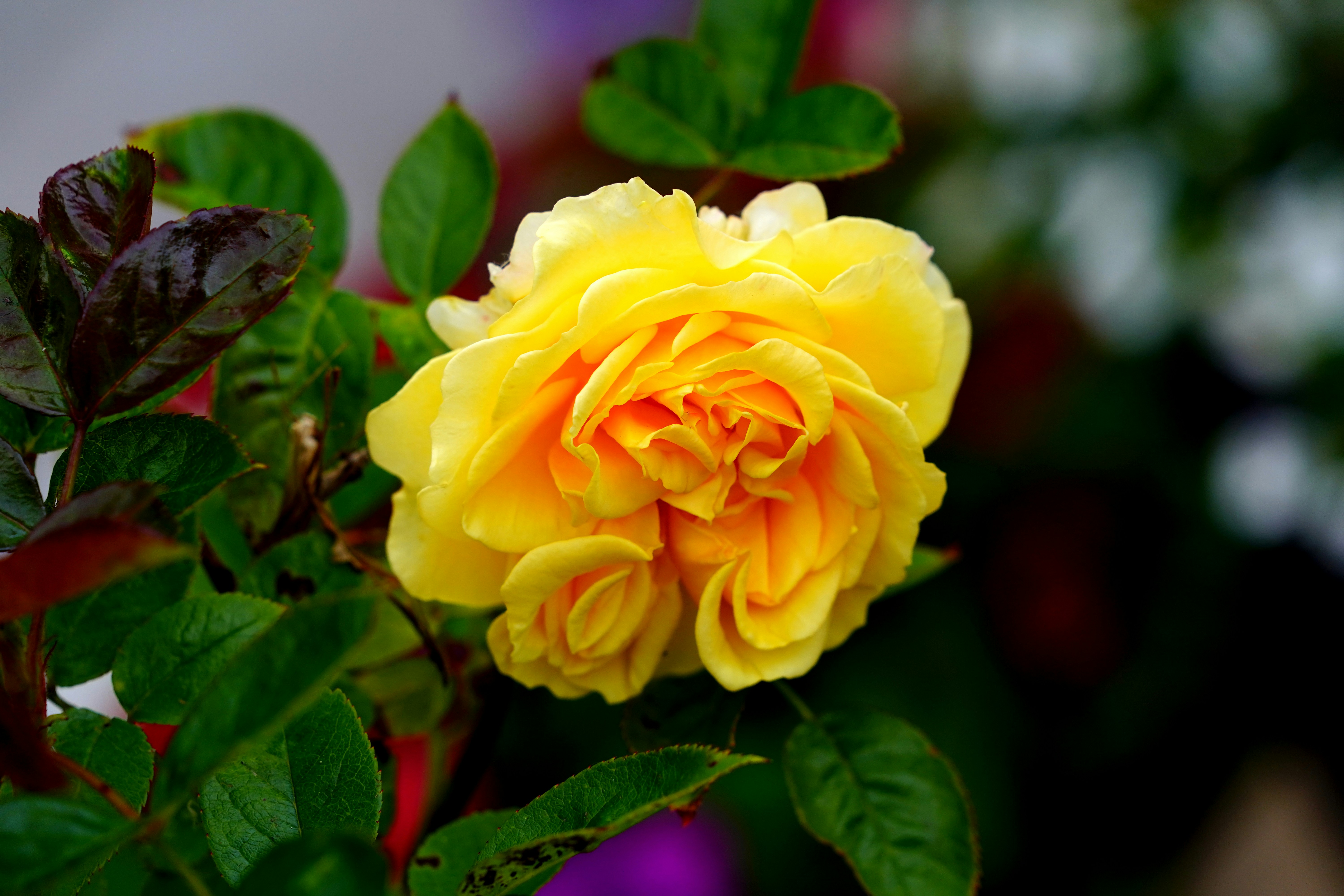 Photo by mw41