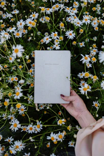 Close-up of hands holding a mindfulness journal surrounded by natural elements.