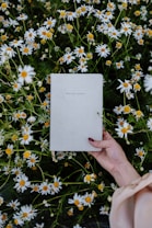 A hand holding a journal with a plain cover surrounded by a field of white daisies with yellow centers. The hand is resting among vibrant green foliage, suggesting a peaceful outdoor setting.