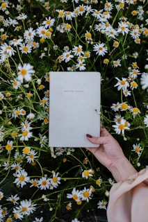 A hand holding a journal with a plain cover surrounded by a field of white daisies with yellow centers. The hand is resting among vibrant green foliage, suggesting a peaceful outdoor setting.