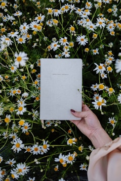 A hand holding a journal with a plain cover surrounded by a field of white daisies with yellow centers. The hand is resting among vibrant green foliage, suggesting a peaceful outdoor setting.