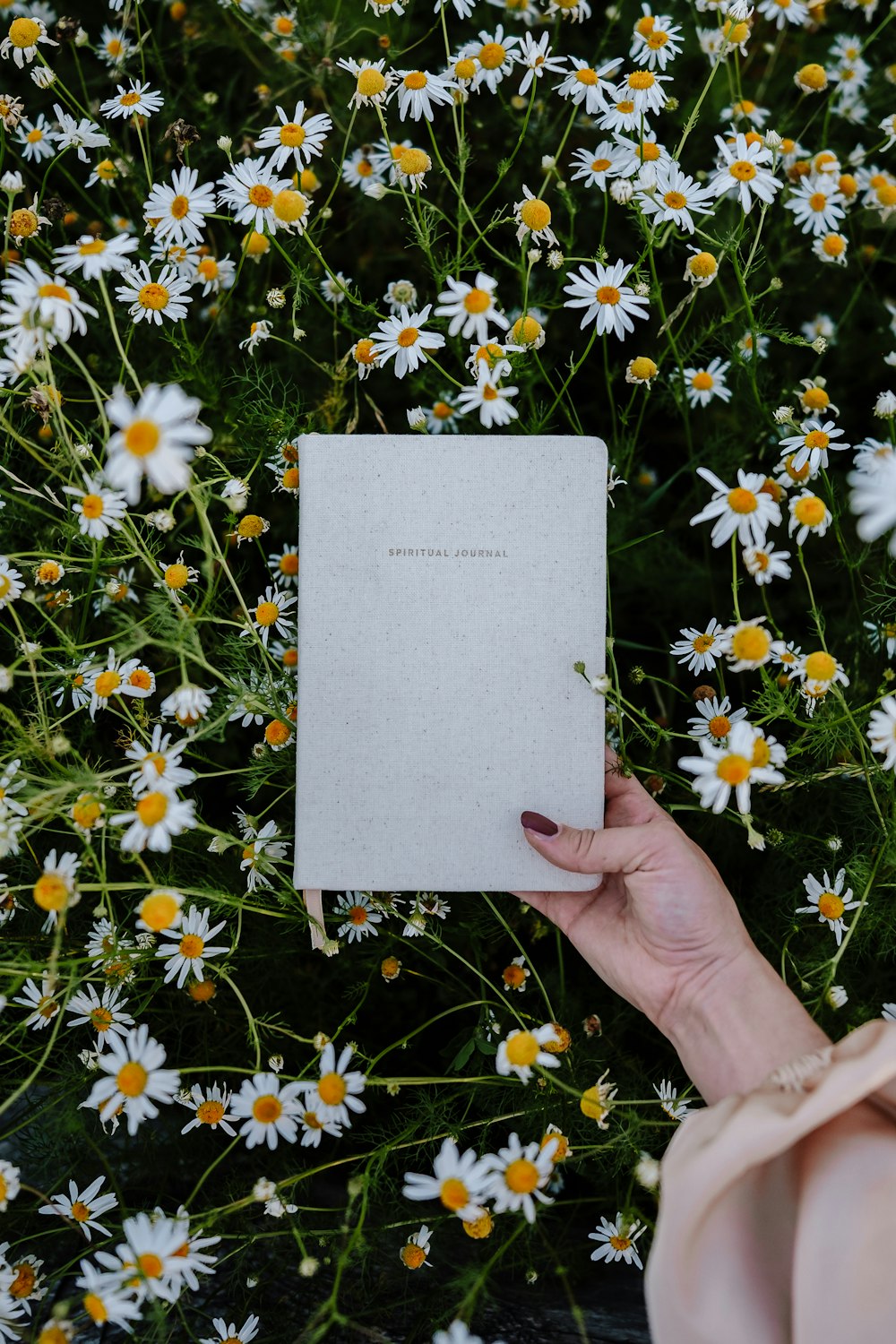 a person holding a book in a field of flowers