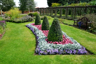 a garden with flowers and bushes