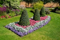 a garden with bushes and flowers