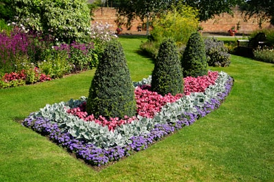 a garden with bushes and flowers