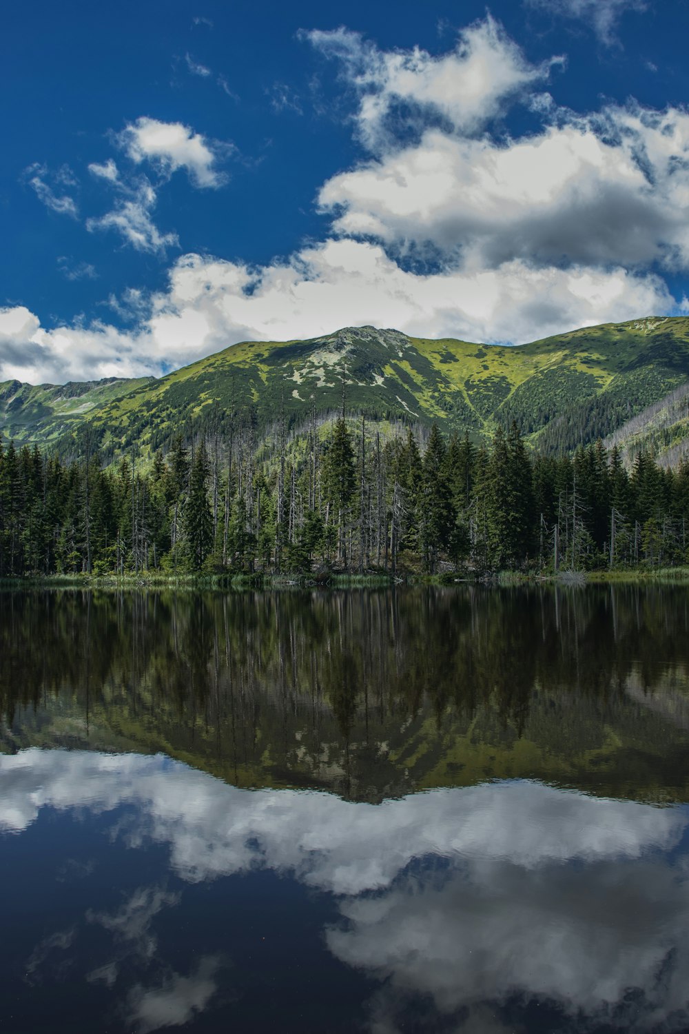 a lake with trees and mountains in the background