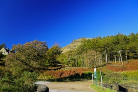 A vivid landscape featuring a blue sky and a hill rising in the background, partially covered with green and autumn-colored trees. A house with a sloped roof is visible to the left, nestled among the trees. In the foreground, a dirt path winds through grassy fields, with a foreground signpost near the path.
