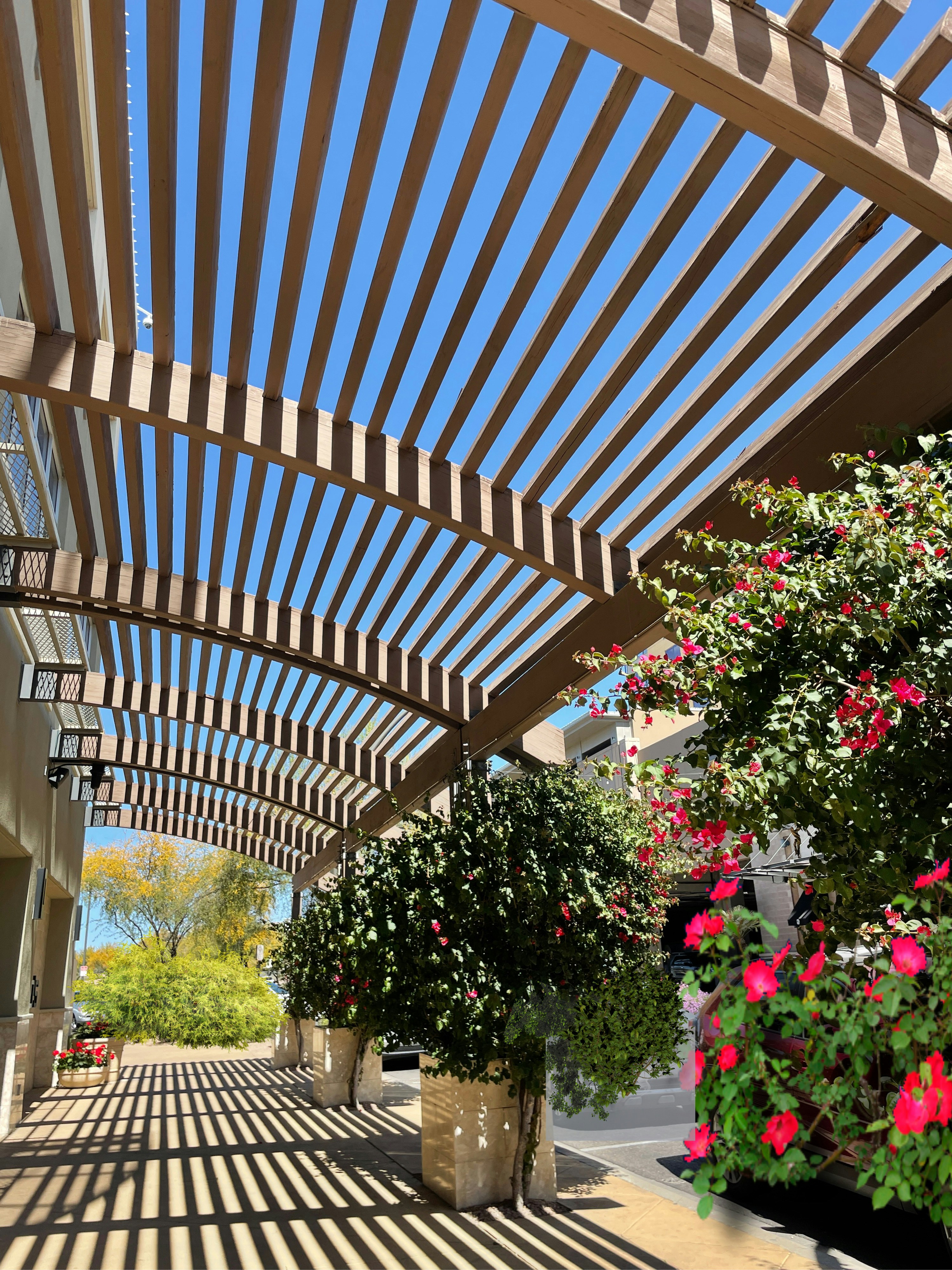 pergola installation