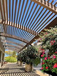 a covered patio with potted plants