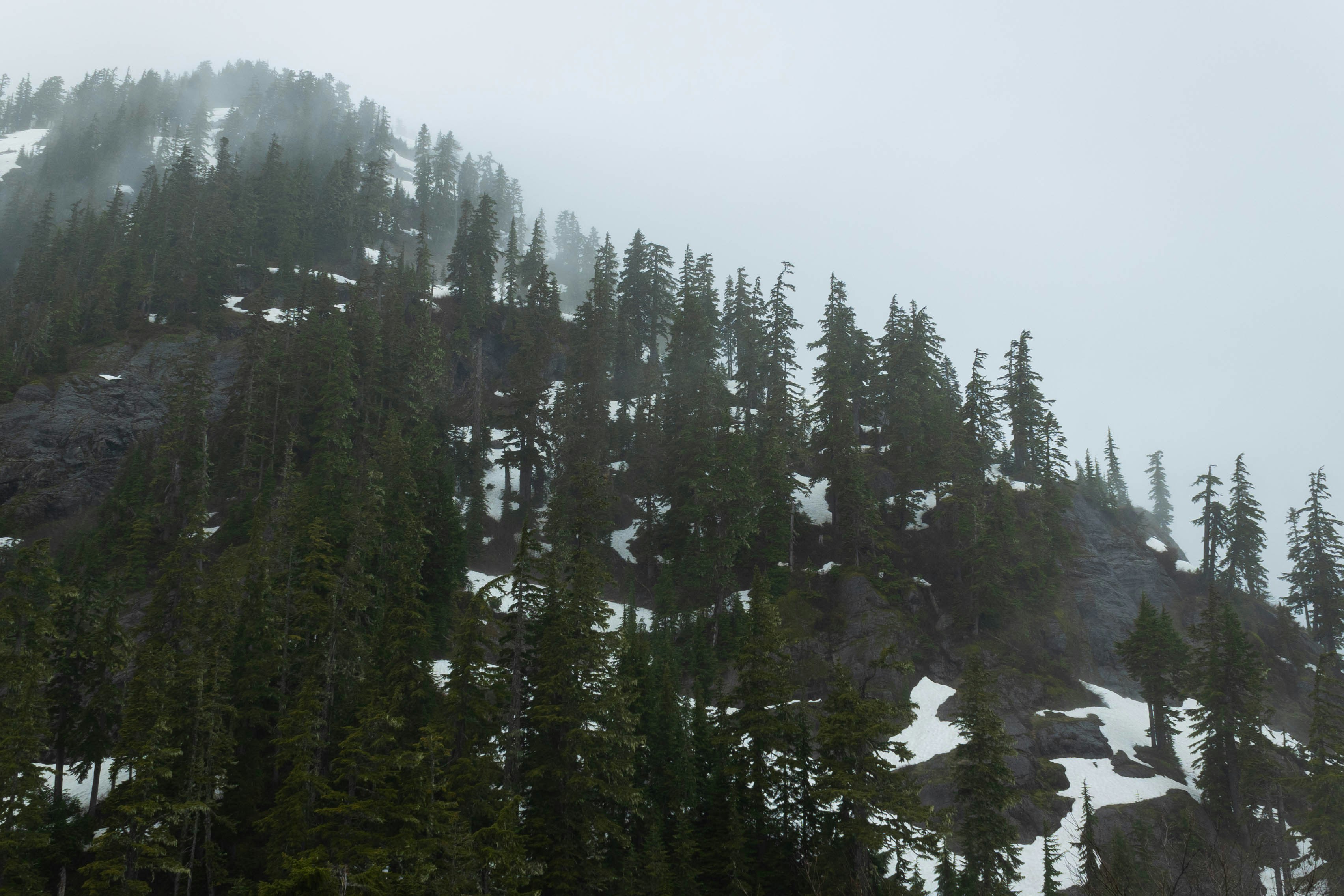 Photo by leslie_outofdoors