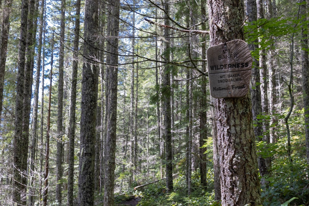 a sign on a tree