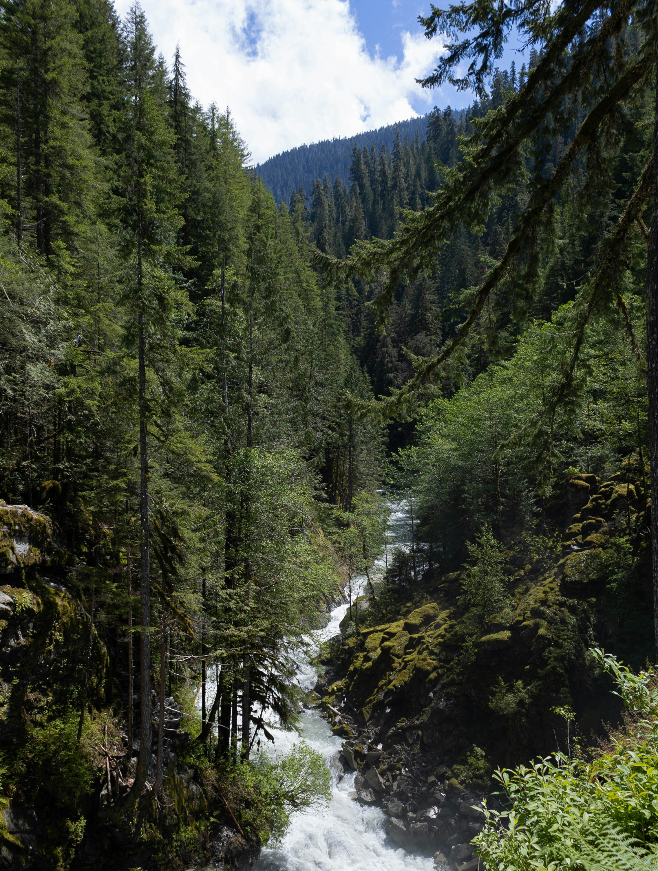 Photo by leslie_outofdoors