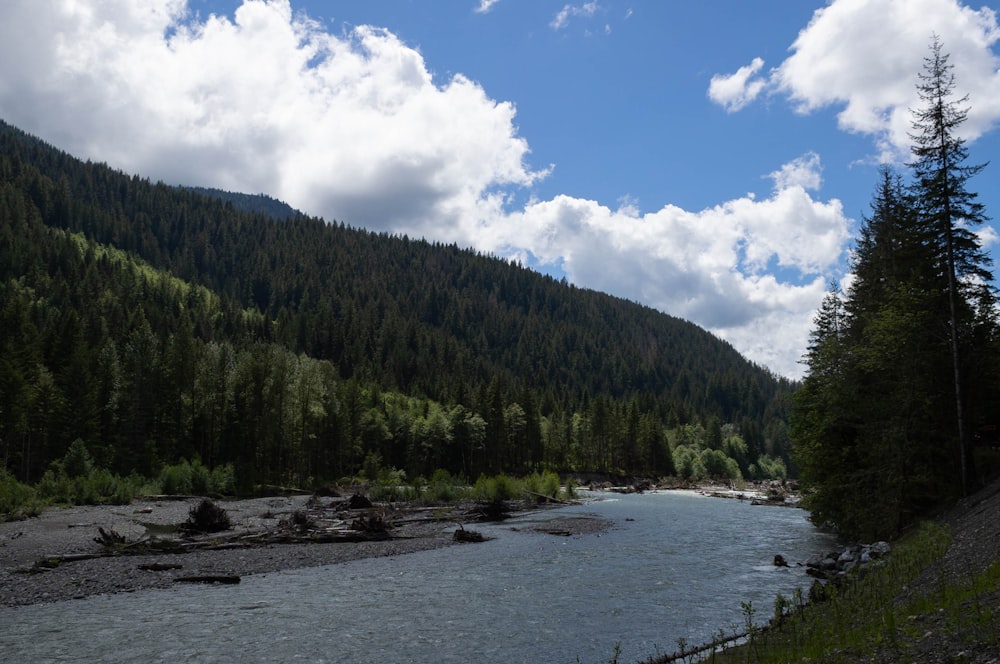 a river with trees and mountains in the background with Clearwater National Forest in the background