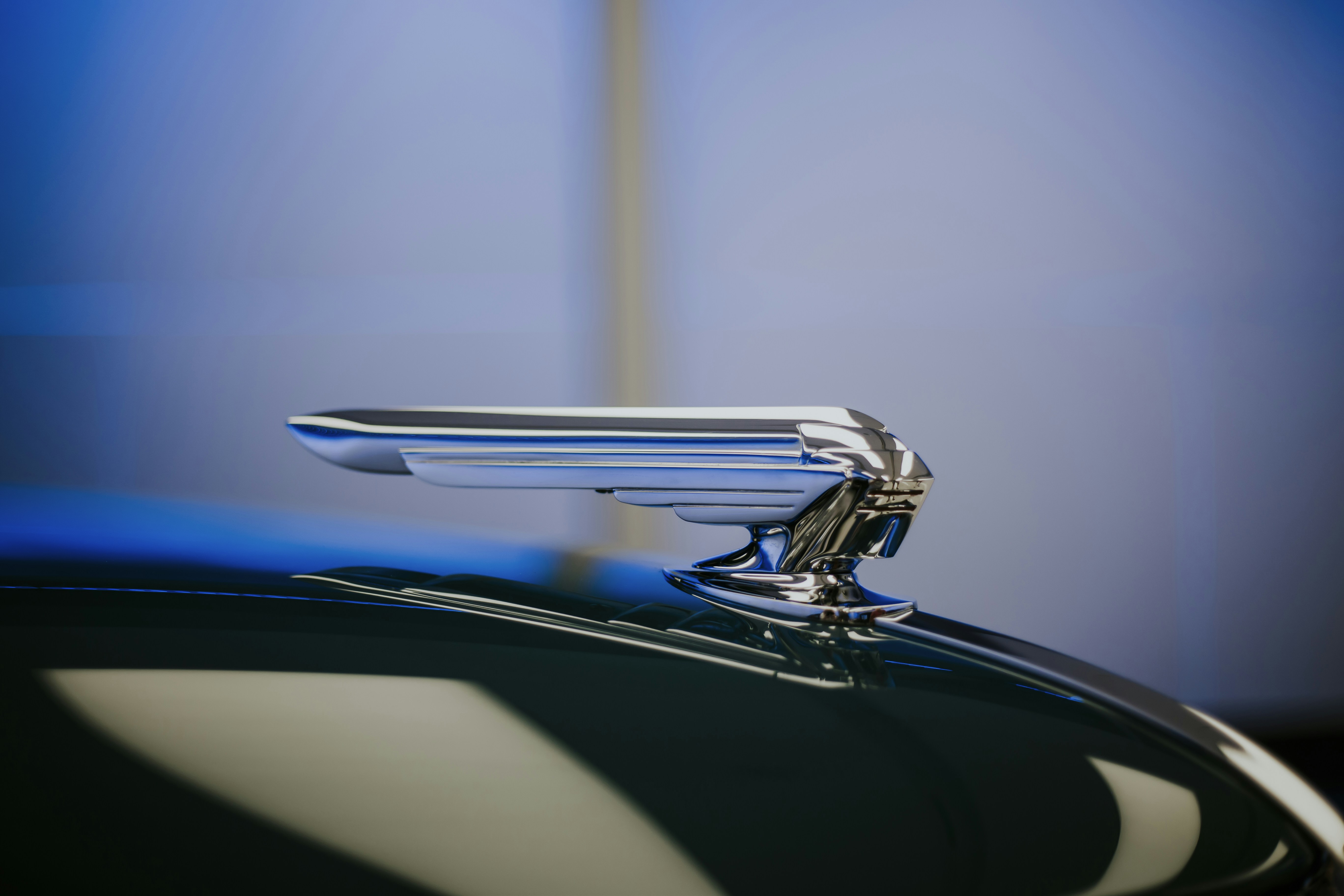 Photo by emilyhenry2