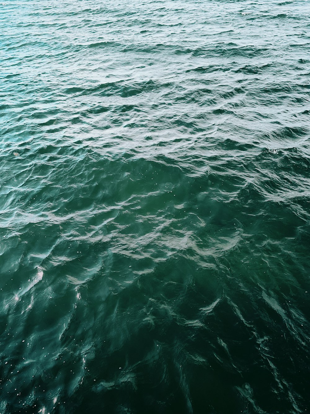 a body of water with waves