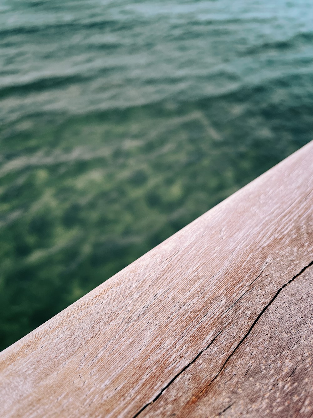 a body of water with green algae