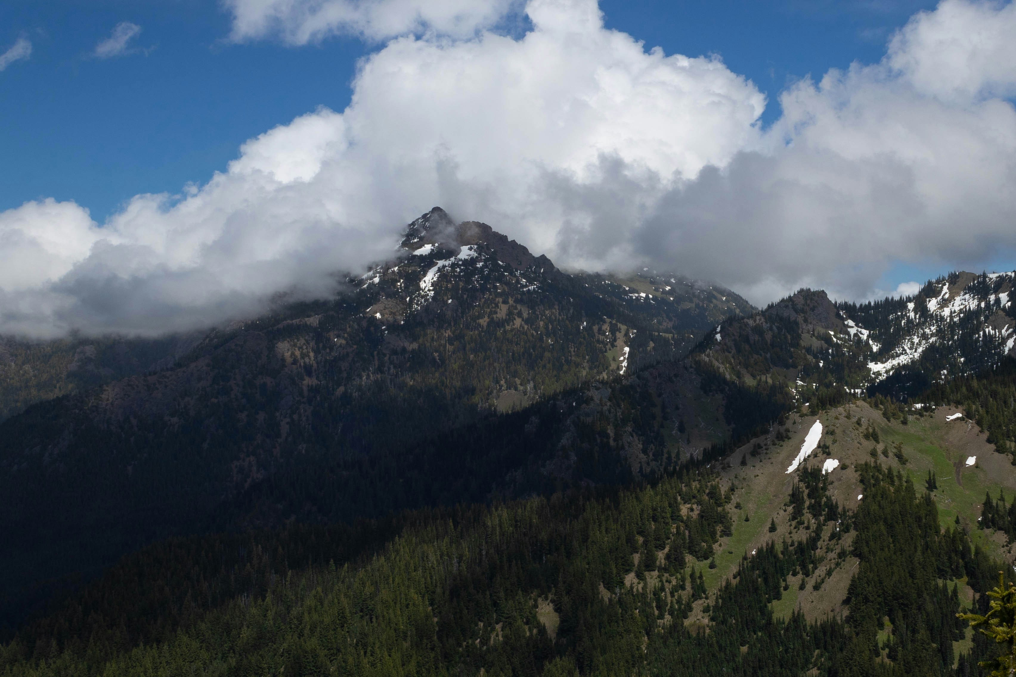 Photo by leslie_outofdoors