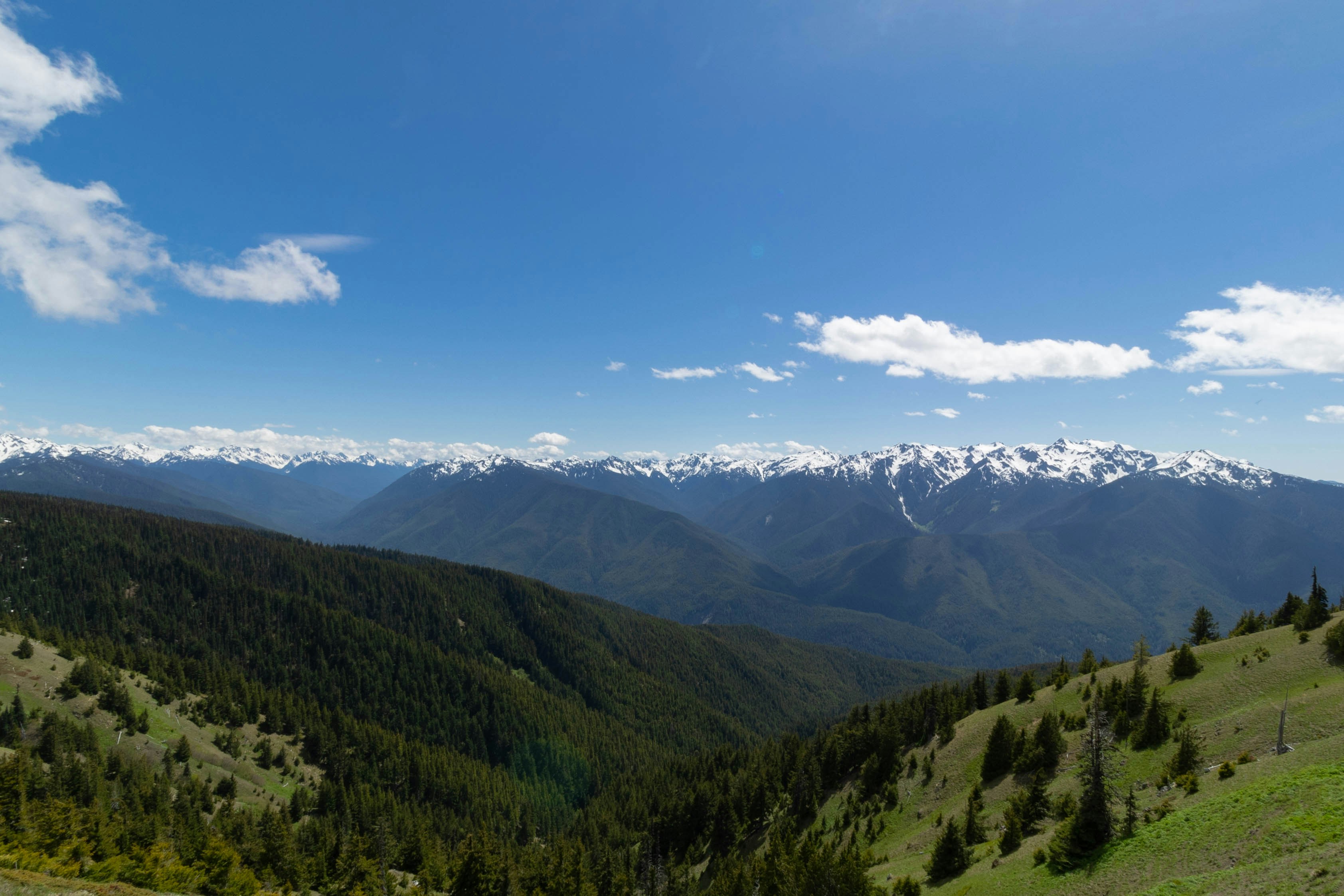 Photo by leslie_outofdoors