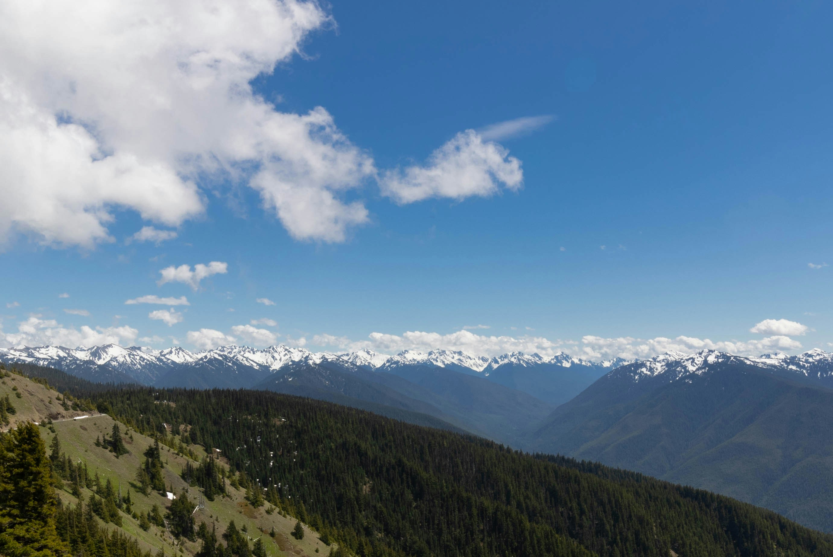 Photo by leslie_outofdoors