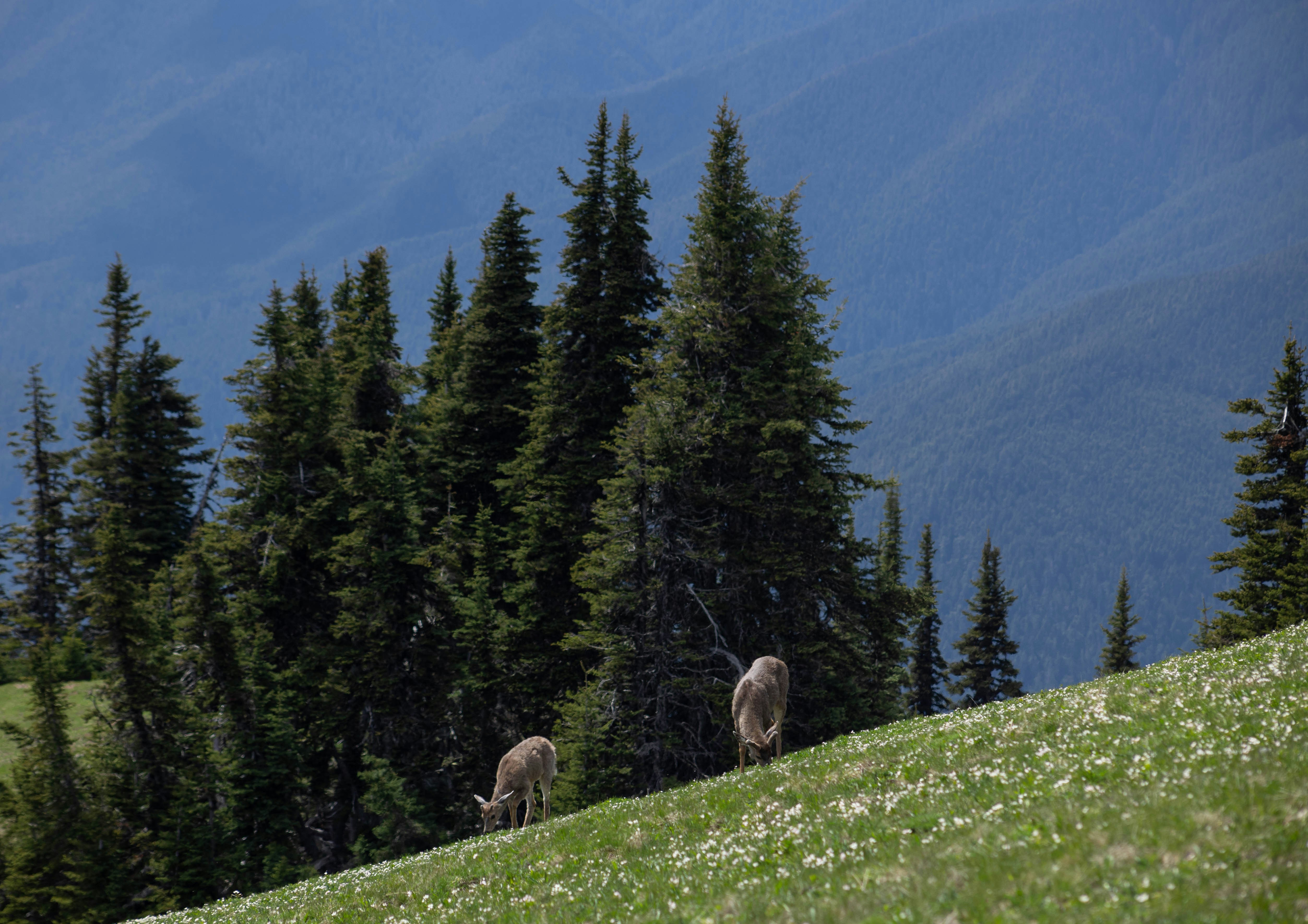 Photo by leslie_outofdoors