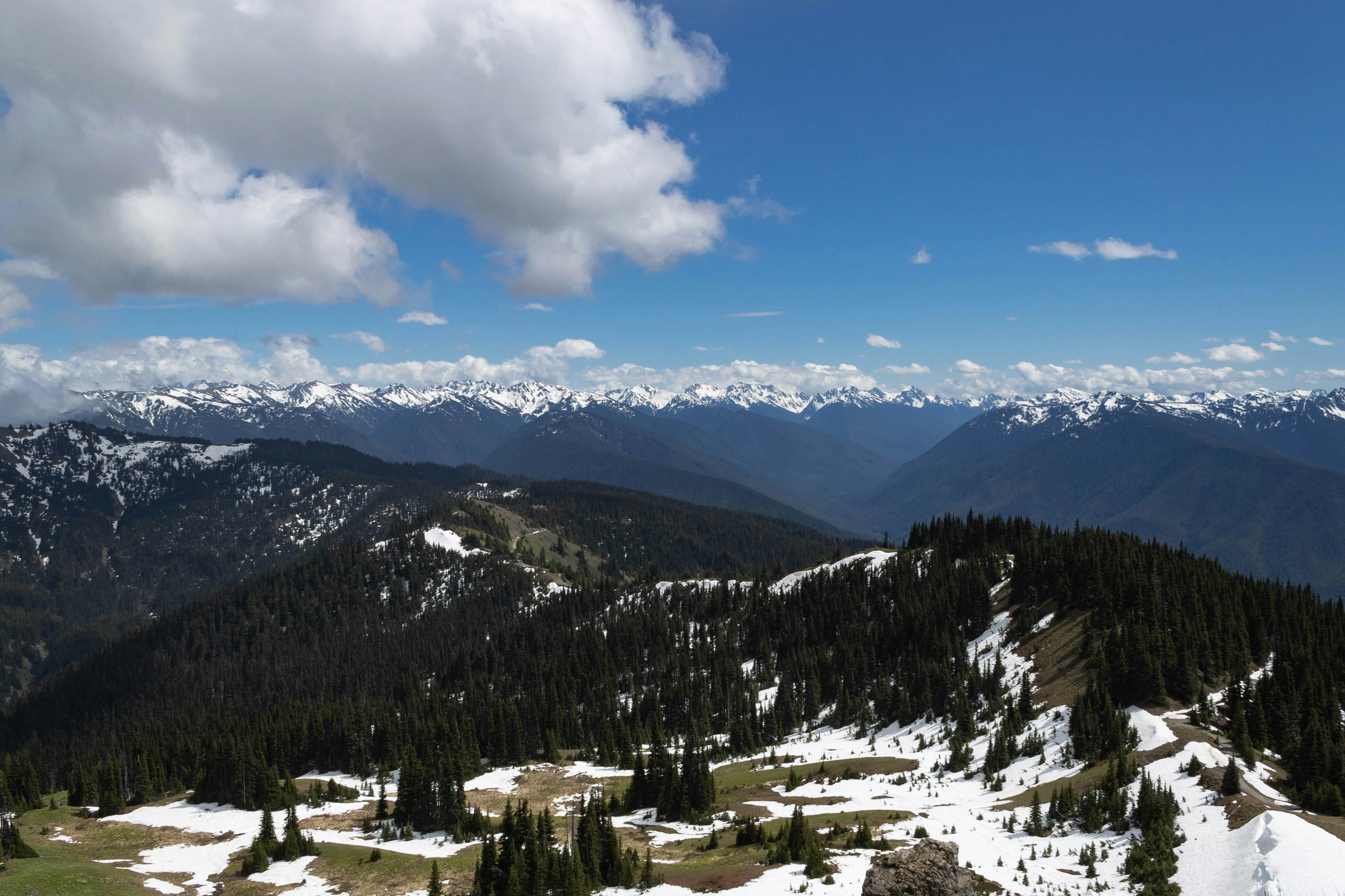 Photo by leslie_outofdoors