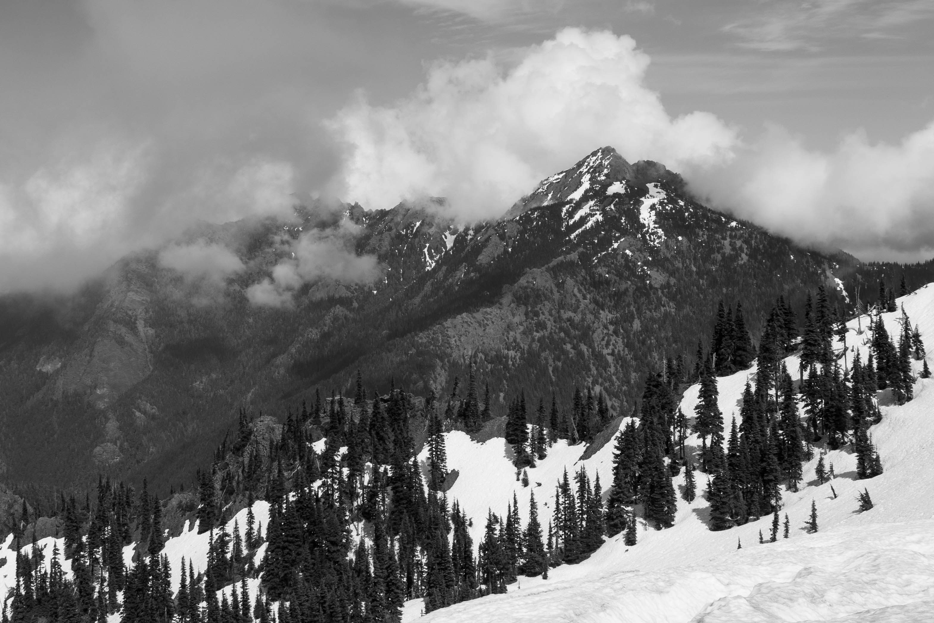 Photo by leslie_outofdoors