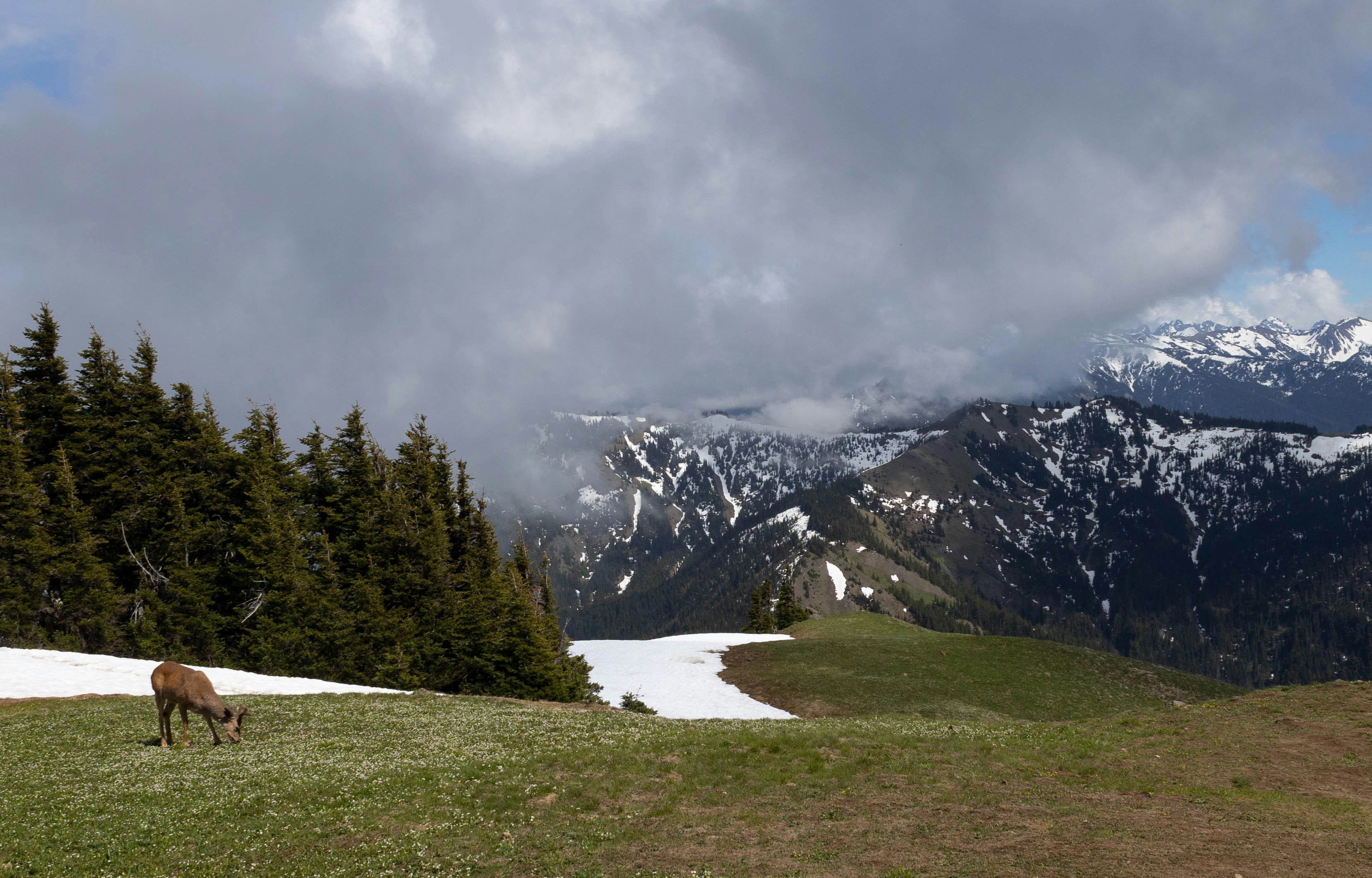 Photo by leslie_outofdoors